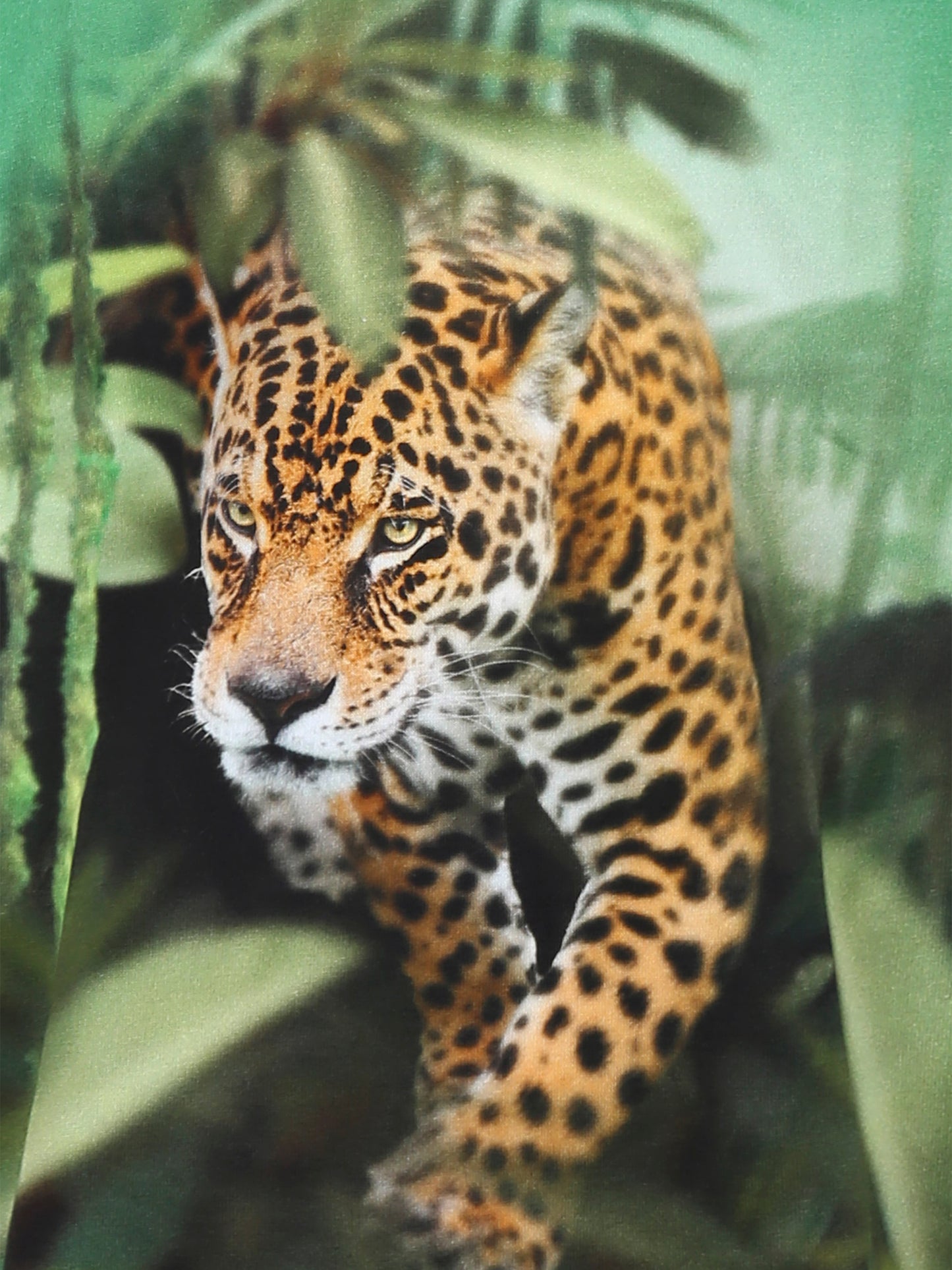 T-shirt vert pour garçon avec imprimé dinosaure