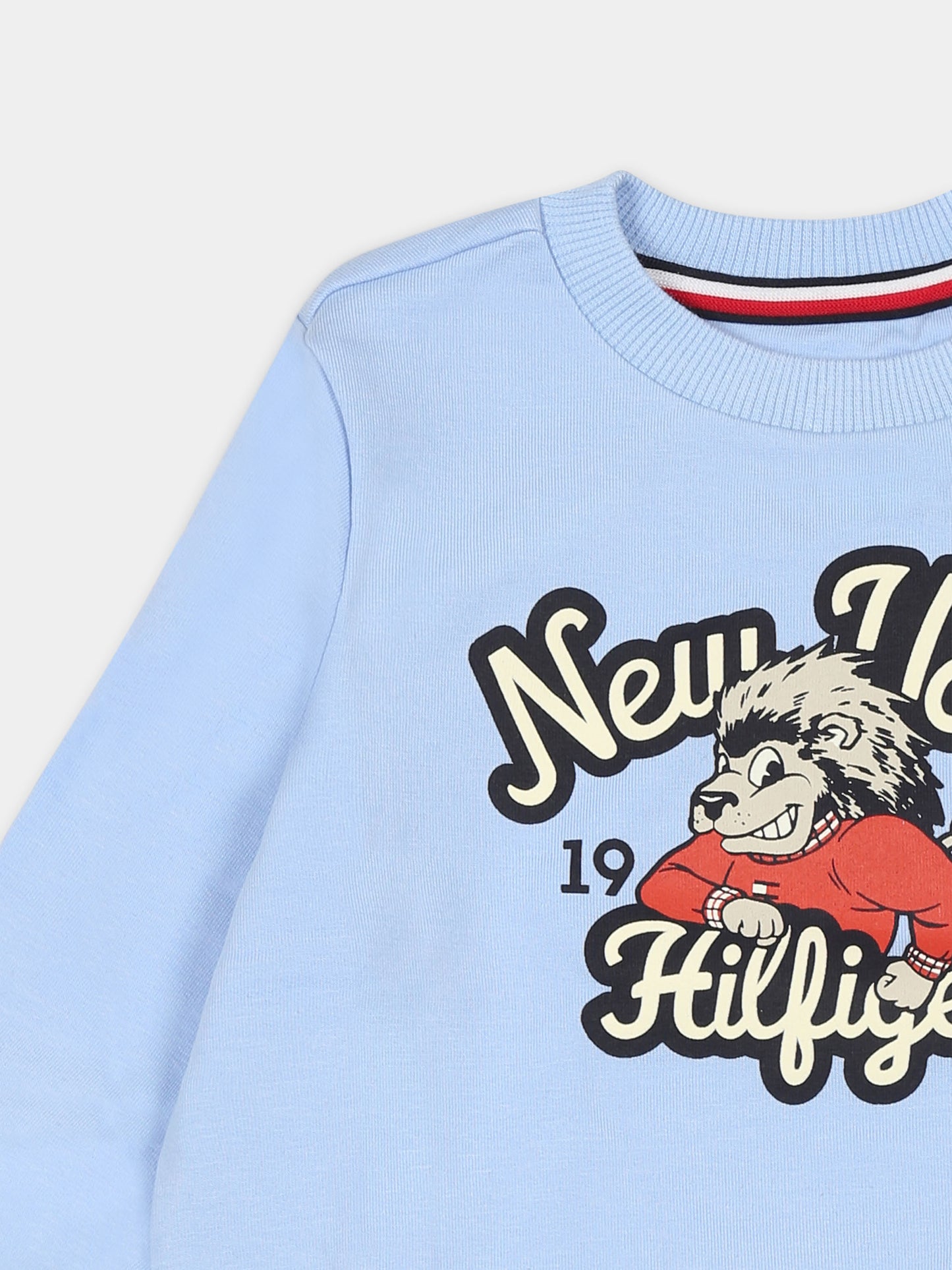 Felpa celeste per neonato con logo e riccio,Tommy Hilfiger Junior,KN0KN01845 C1Z