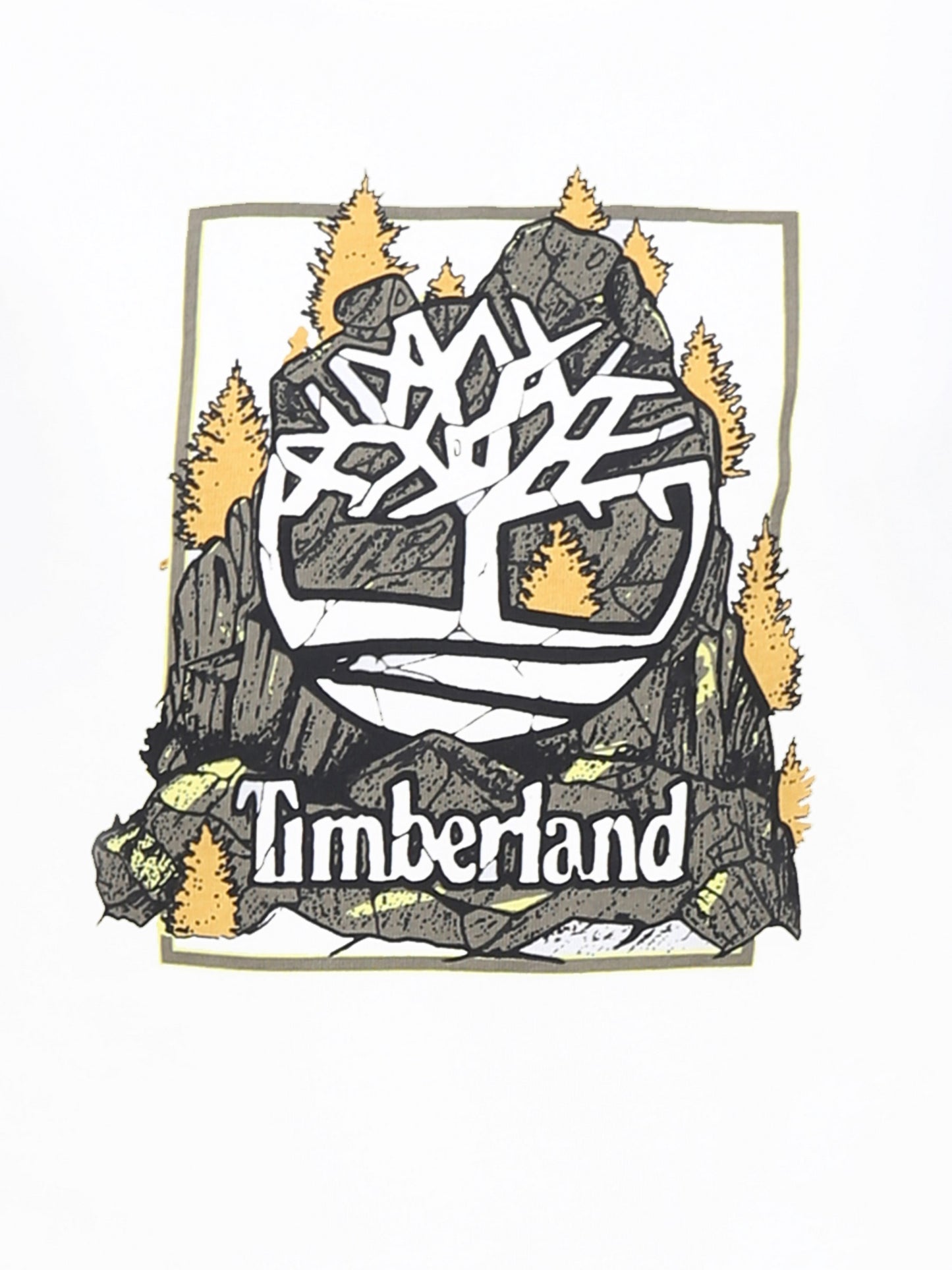 T-shirt bianca per bambino con logo e stampa,Timberland,T60092 10P