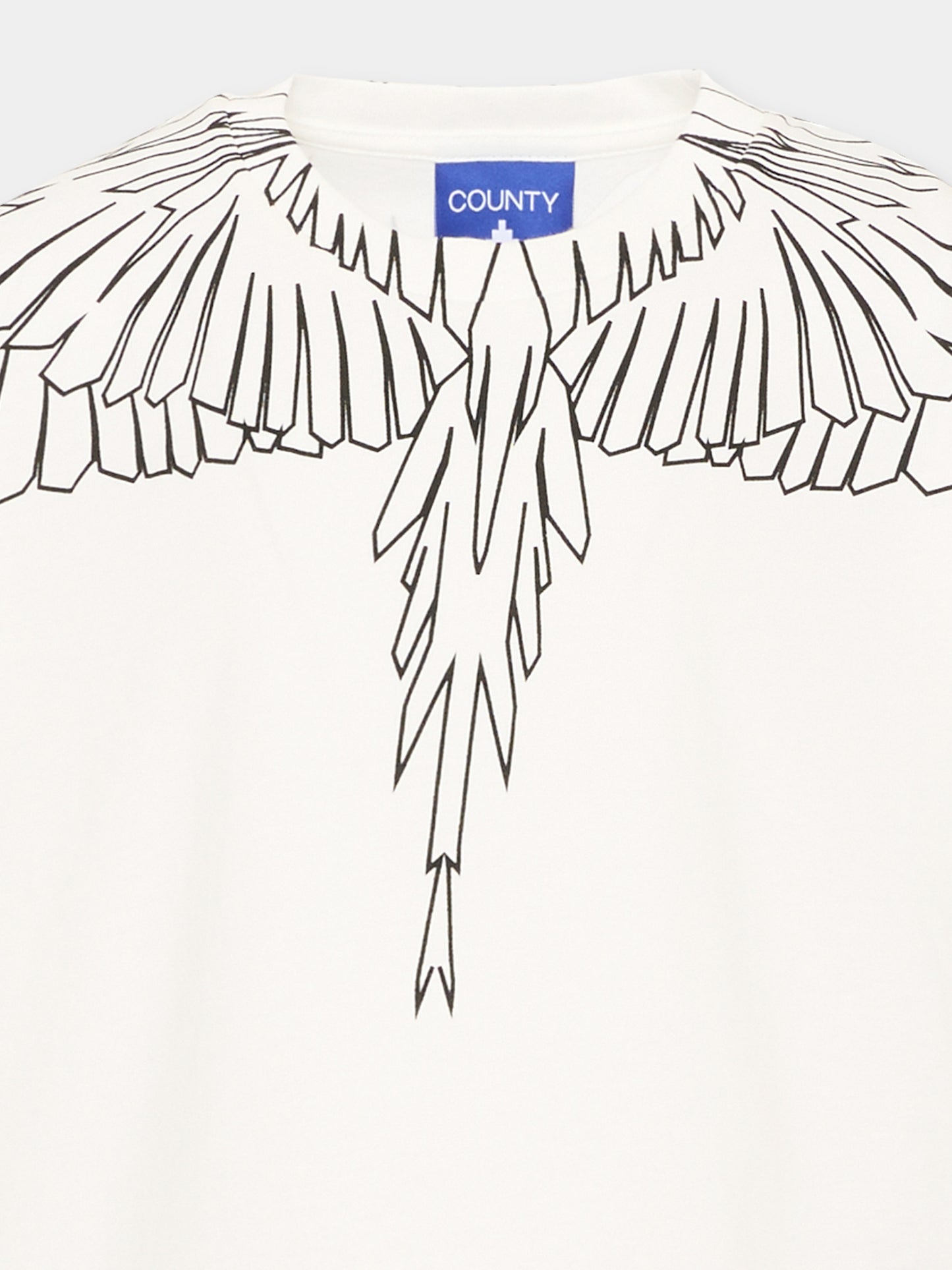 T-shirt avorio per bambino con ali,County Of Milan Kids,F5CMJBTH073 002