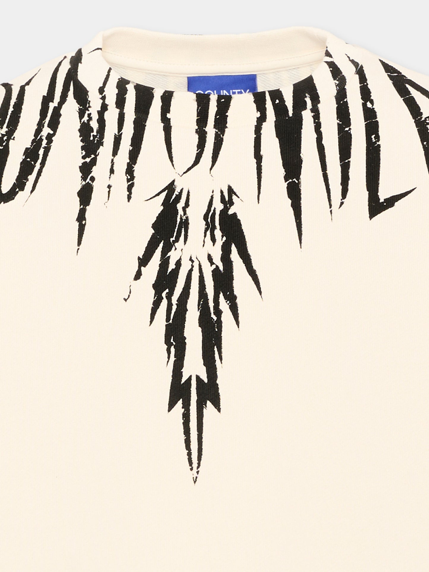 Felpa avorio per bambino con ali,County Of Milan Kids,S6CMJBSW024 412