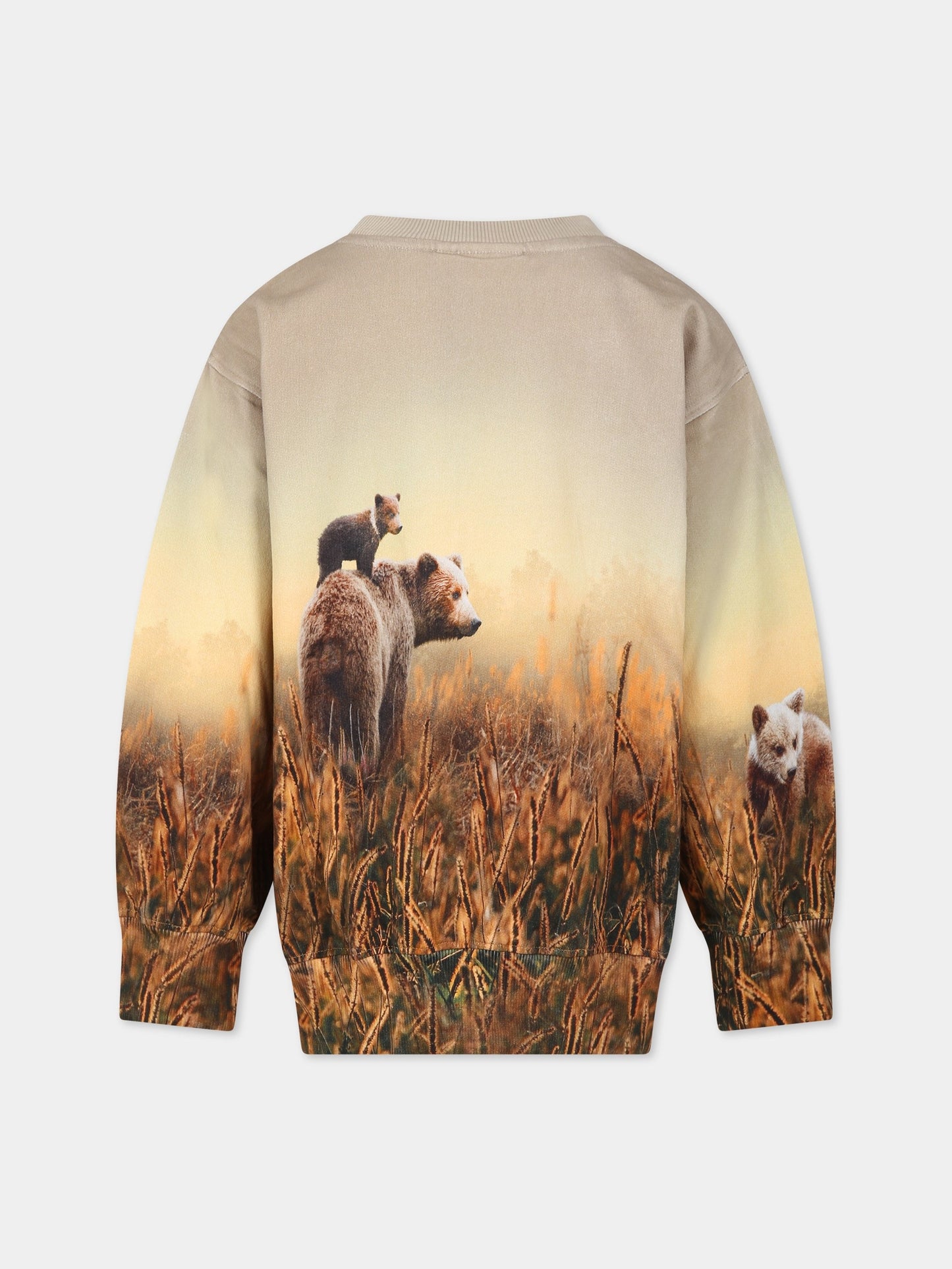 Felpa beige per bambini con orsi,Molo,1W23J206 3360