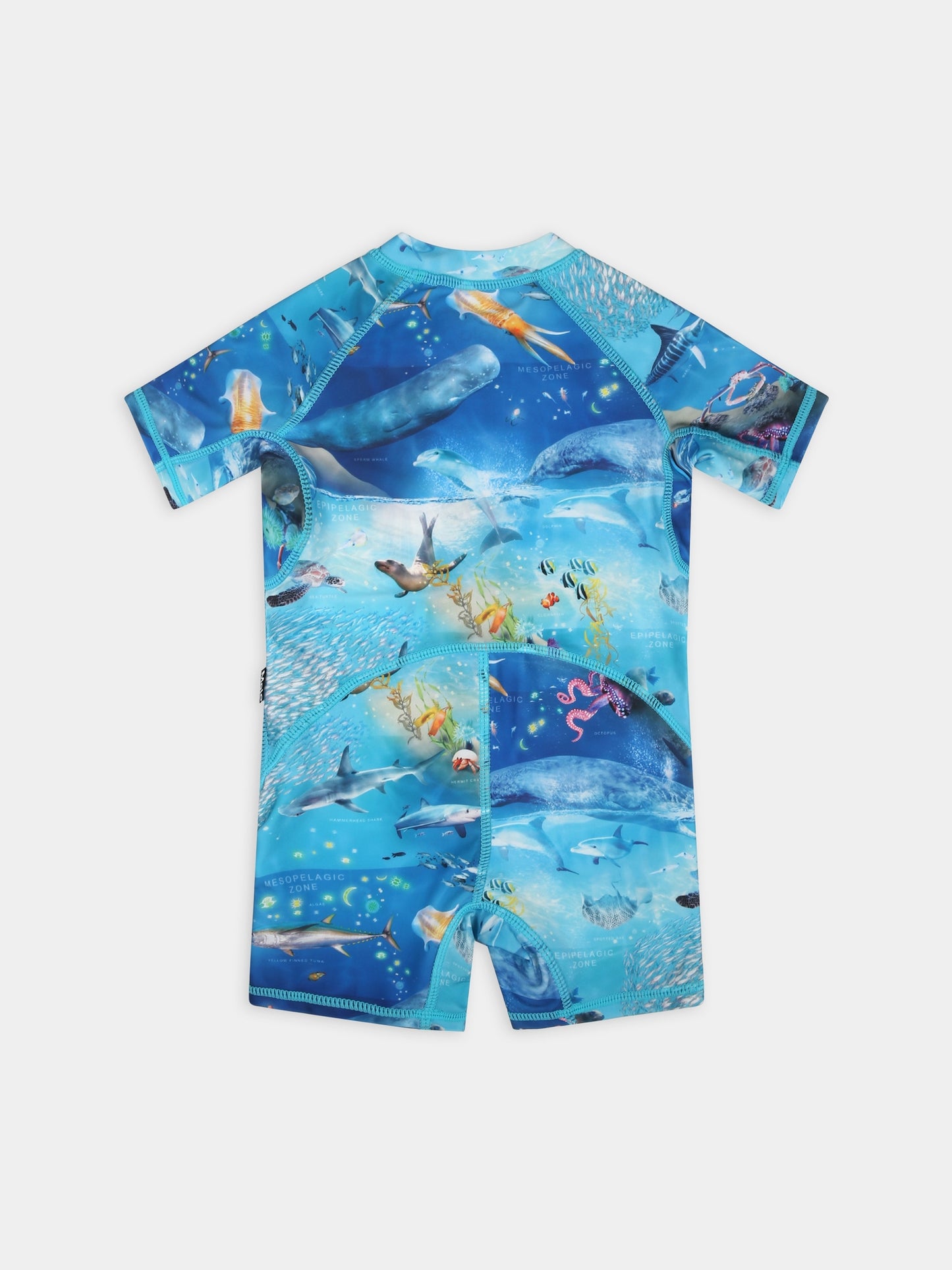 Costume anti UV azzurro per neonato con animali marini,Molo,8S24P609 9001