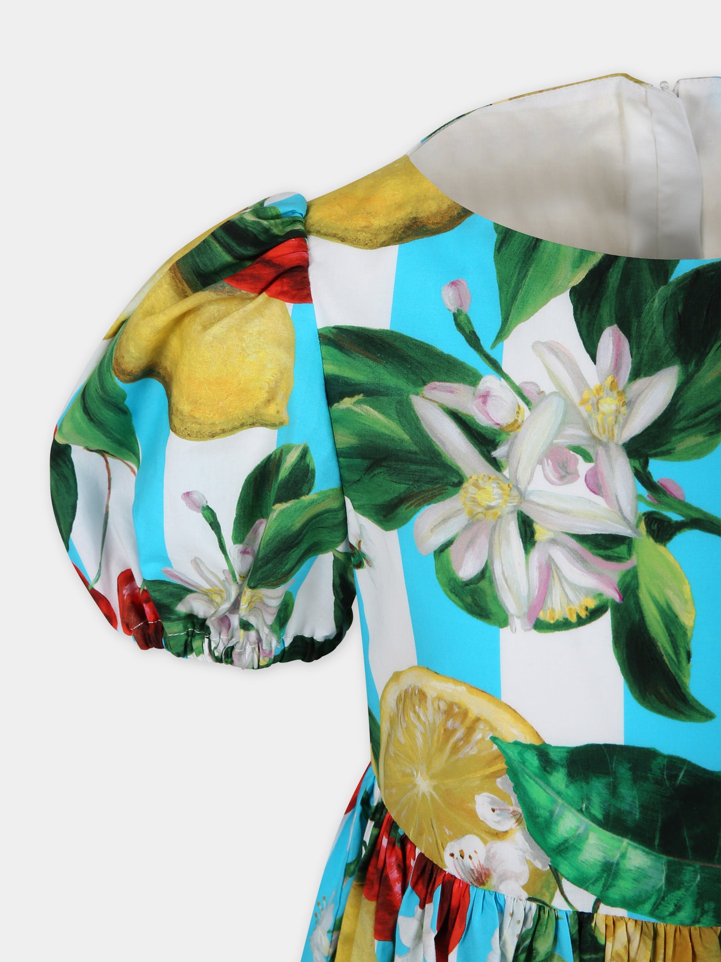 Vestito multicolor per bambina con fiori e frutti all-over,Dolce & Gabbana Kids,L52DY6 HS5Q6 HD5AL