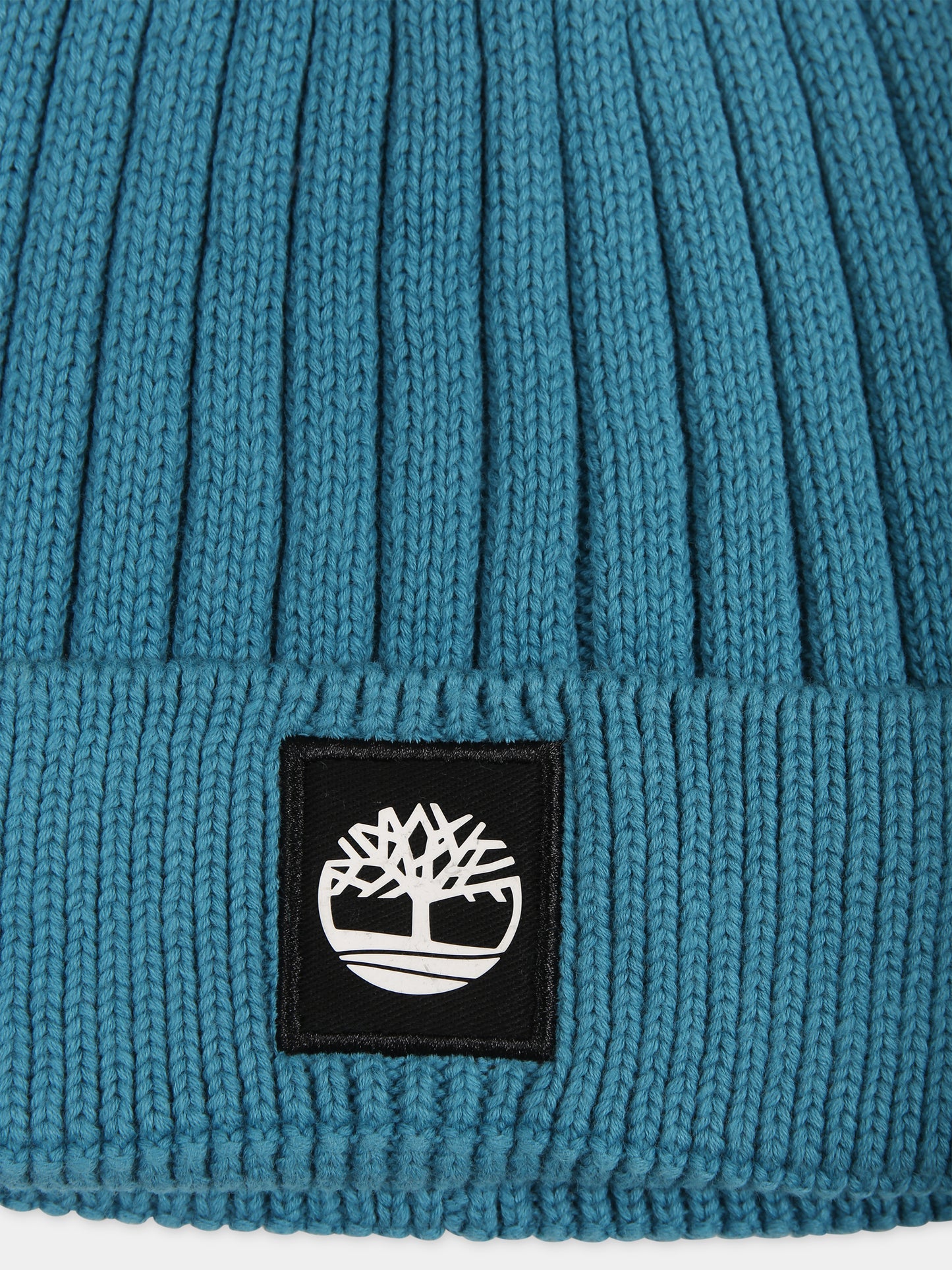 Berretto blu per bambino con albero,Timberland,T21387 875
