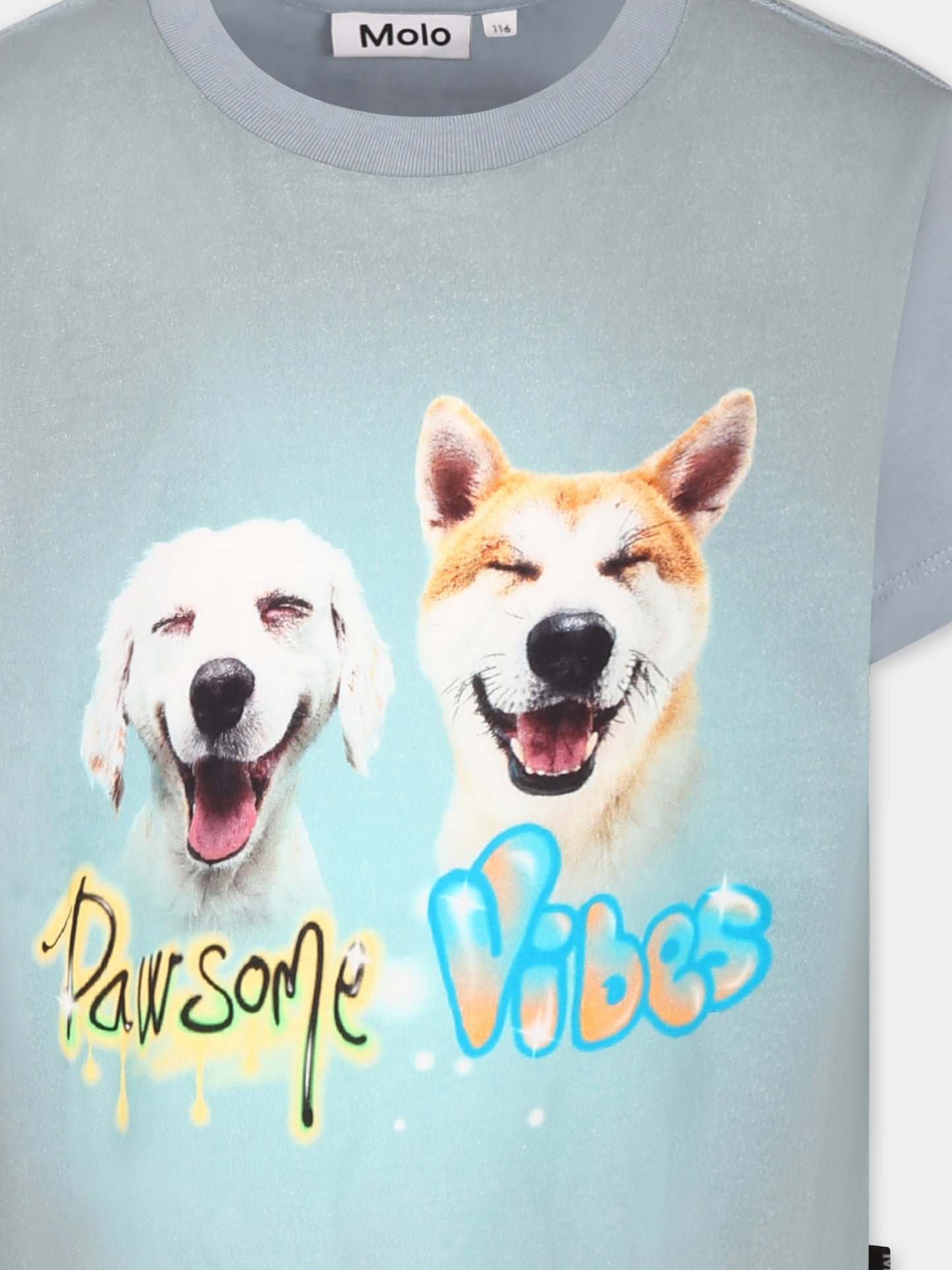 T-shirt Rame celeste per bambino con cani,Molo,1S25A224 3940
