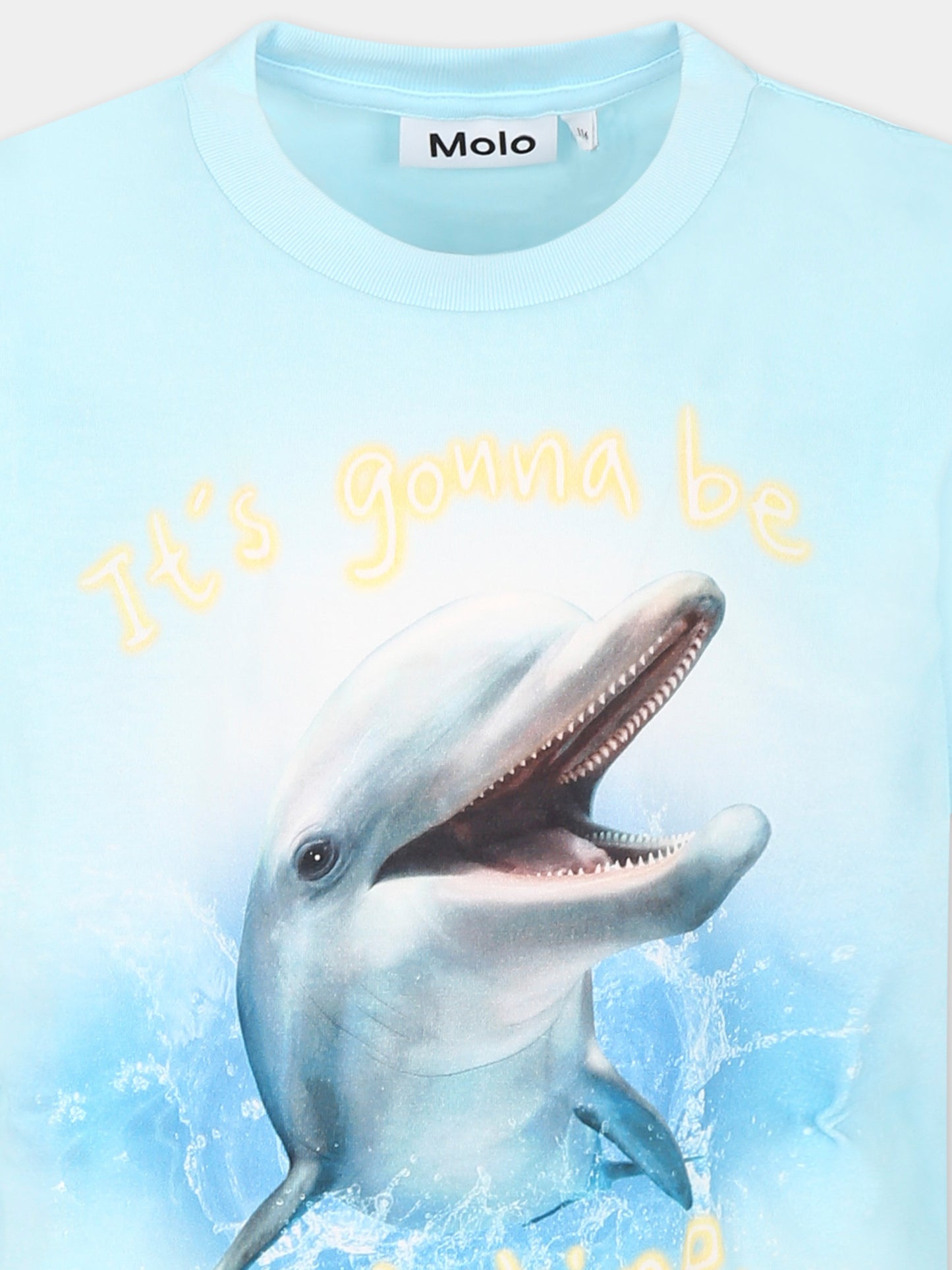 T-shirt Rame celeste per bambino con delfino,Molo,1S25A224 3918
