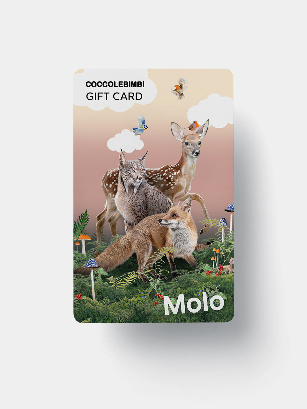 Virtual Gift Card by Molo