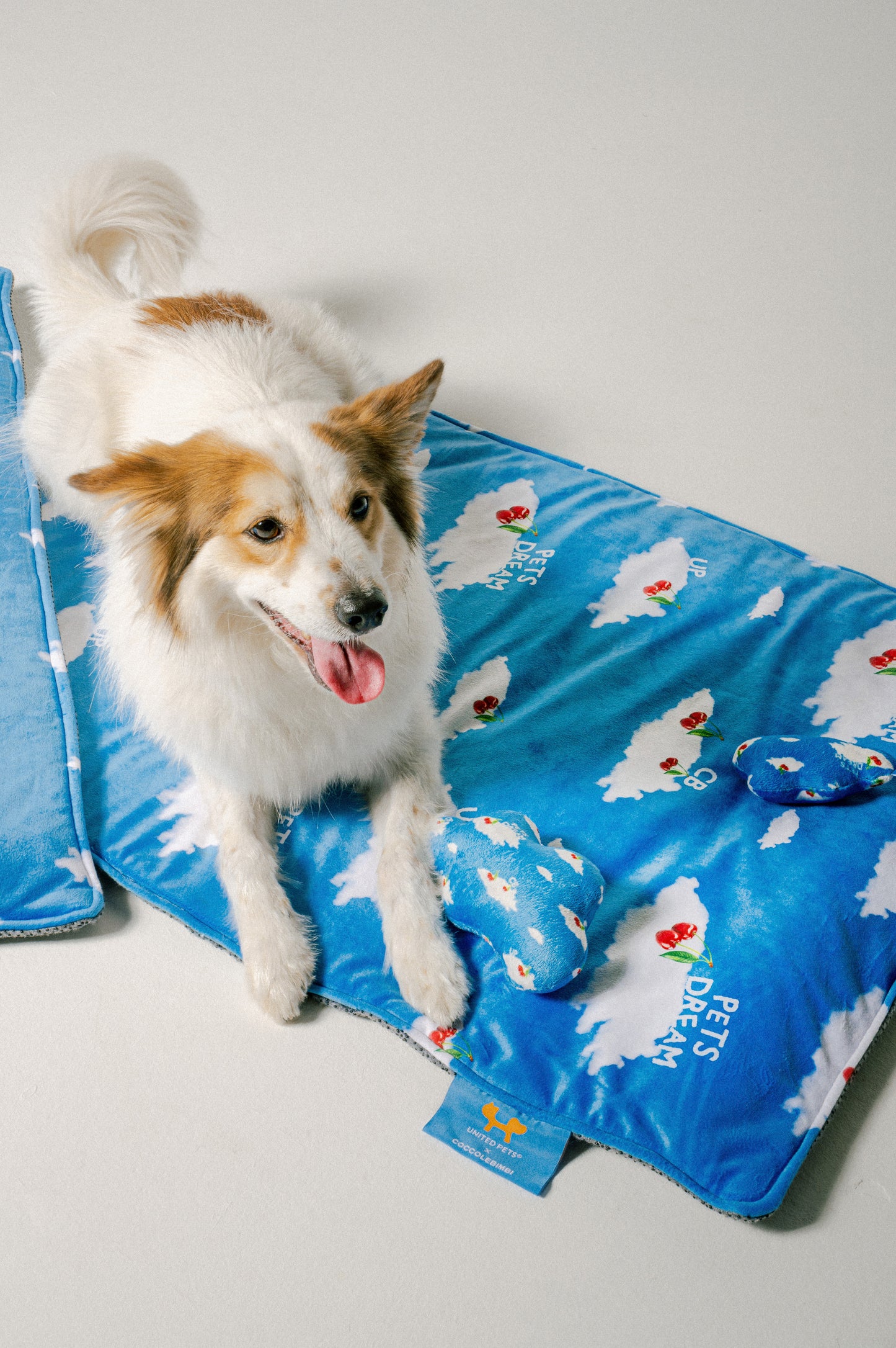 Grand jouet bleu clair pour chien