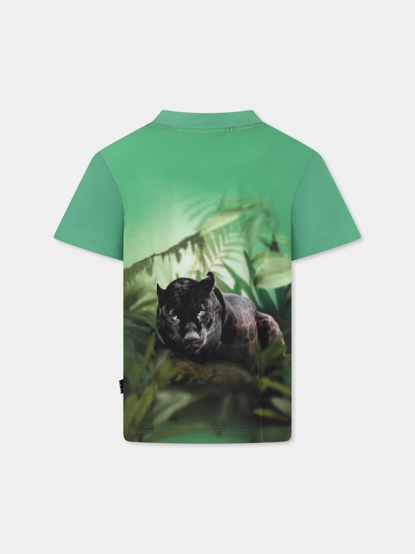 T-shirt vert pour garçon avec imprimé dinosaure