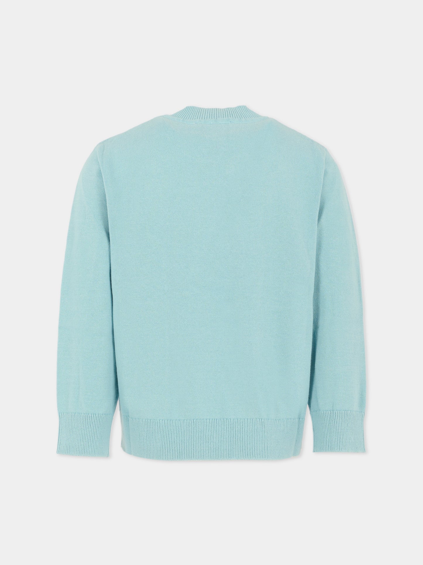 Maglione azzurro per bambino con scoiattolo,Stella Mccartney Kids,TX9P60 Z1876 670