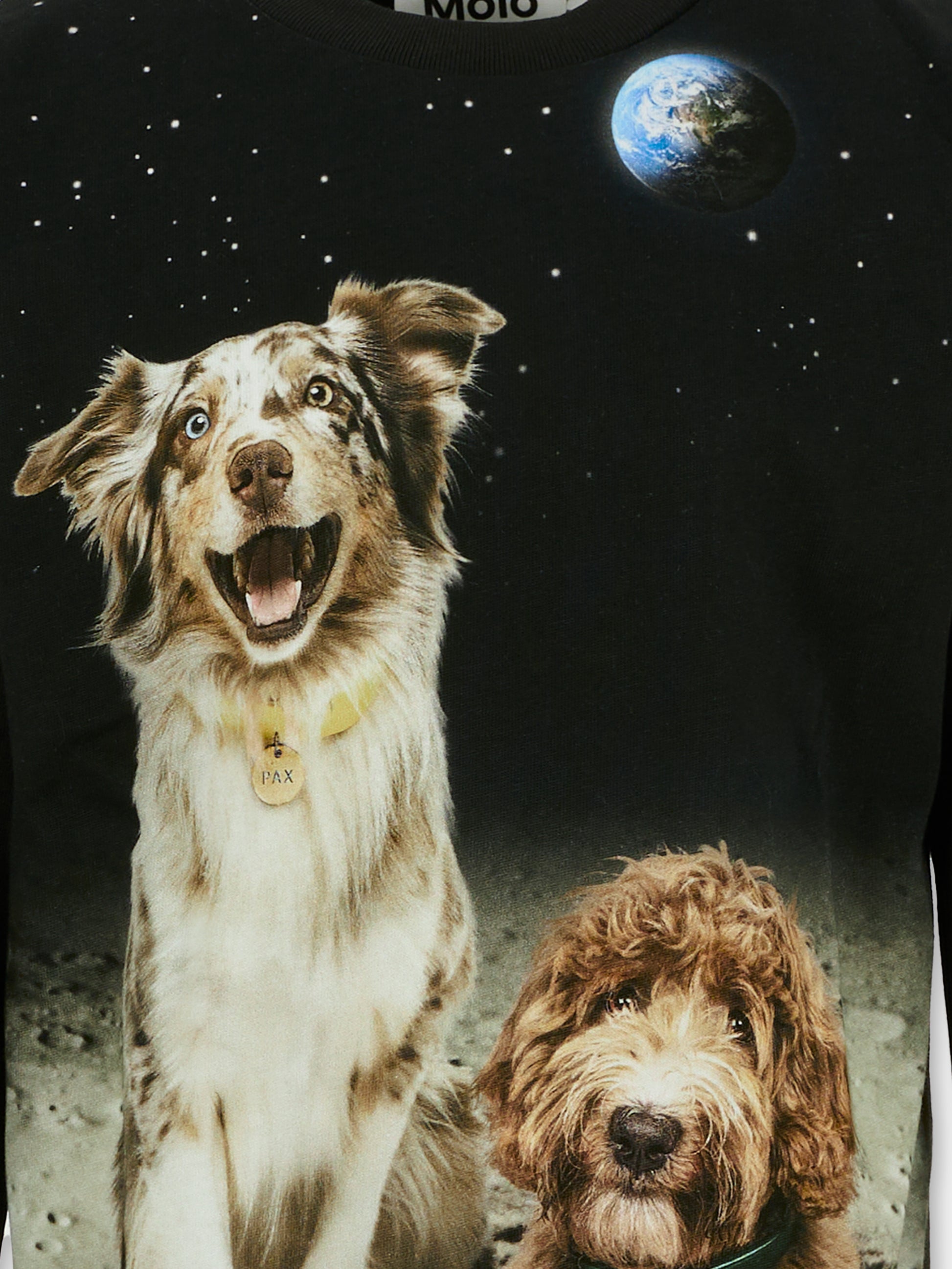 T-shirt Reif nera per bambino con cani,Molo,1W25A403 9614