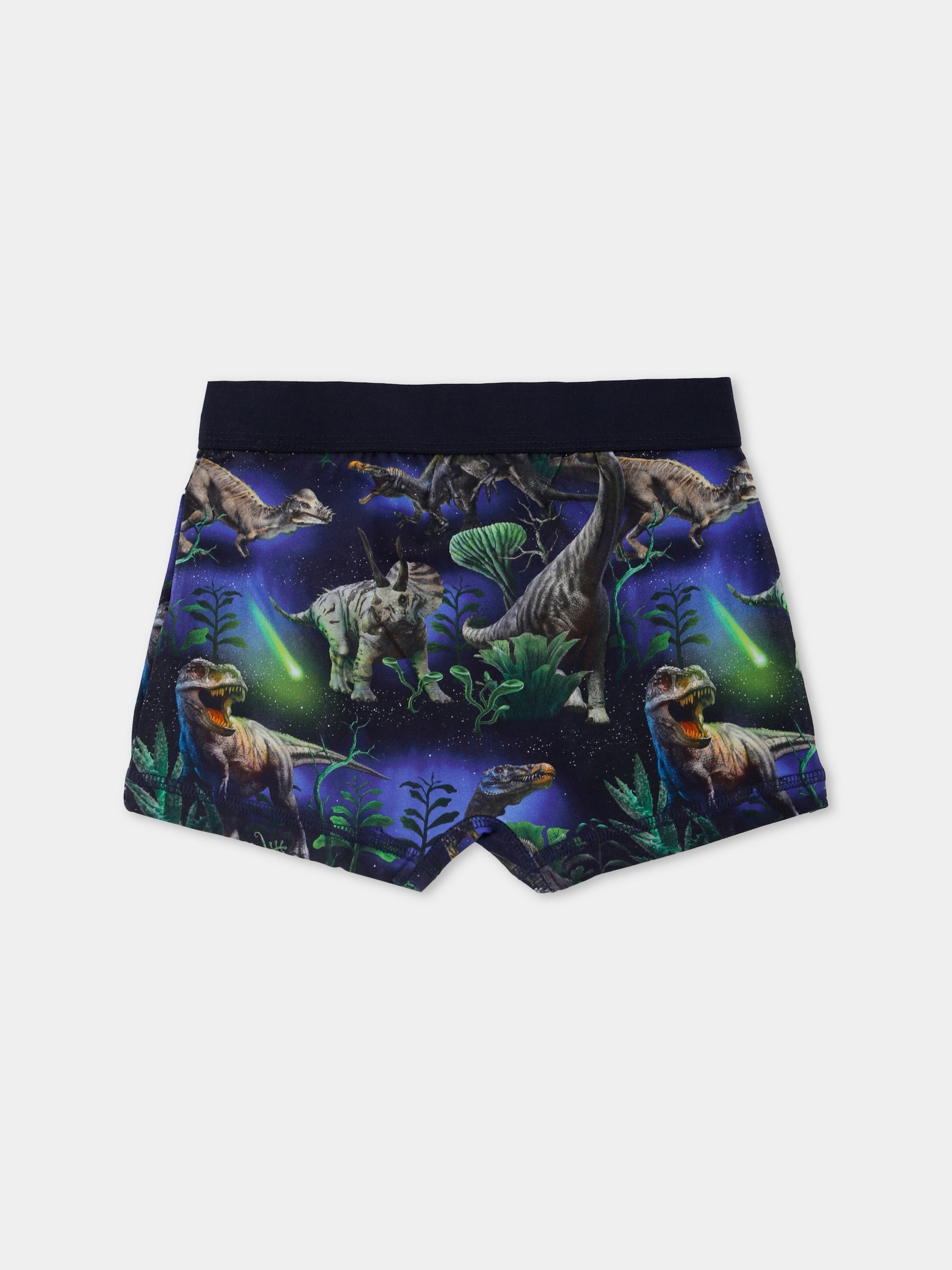 Set boxer Justin blu per bambino con dinosauri,Molo,1W25Q201 9457