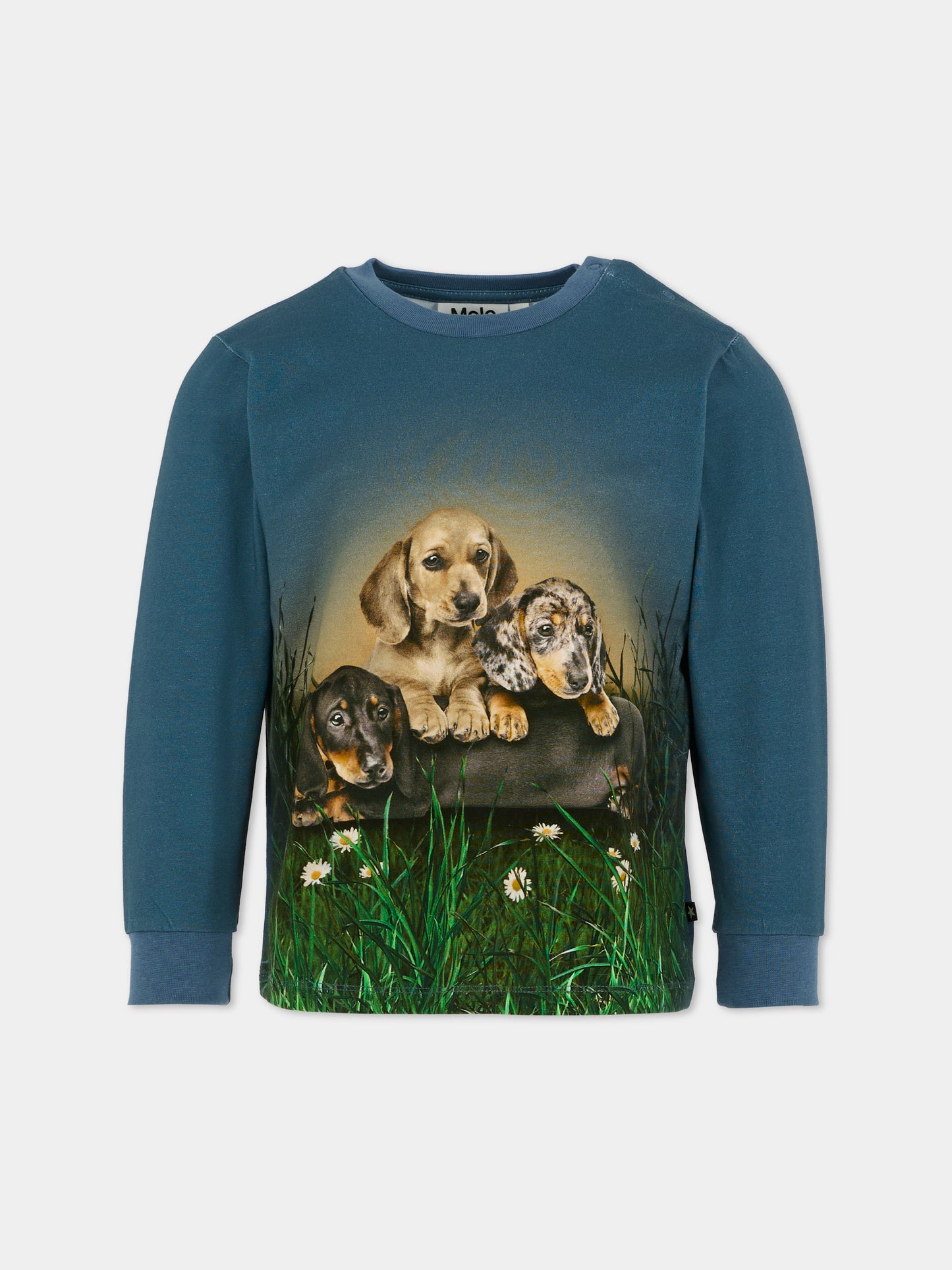 T-shirt Eloy blu per bambino con cani,Molo,6W25A404 9679