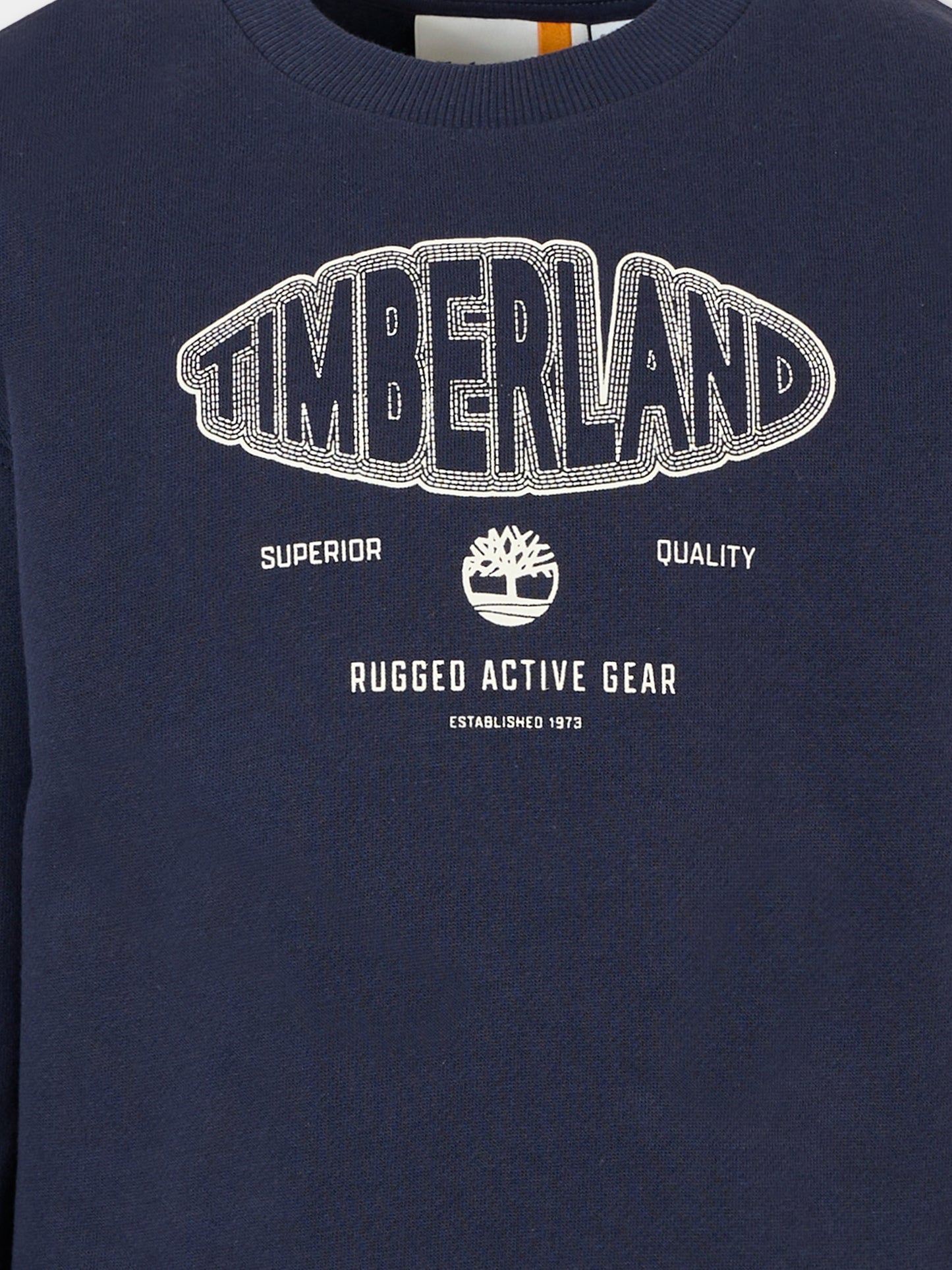 Felpa blu per bambino con logo,Timberland,T60544 85T