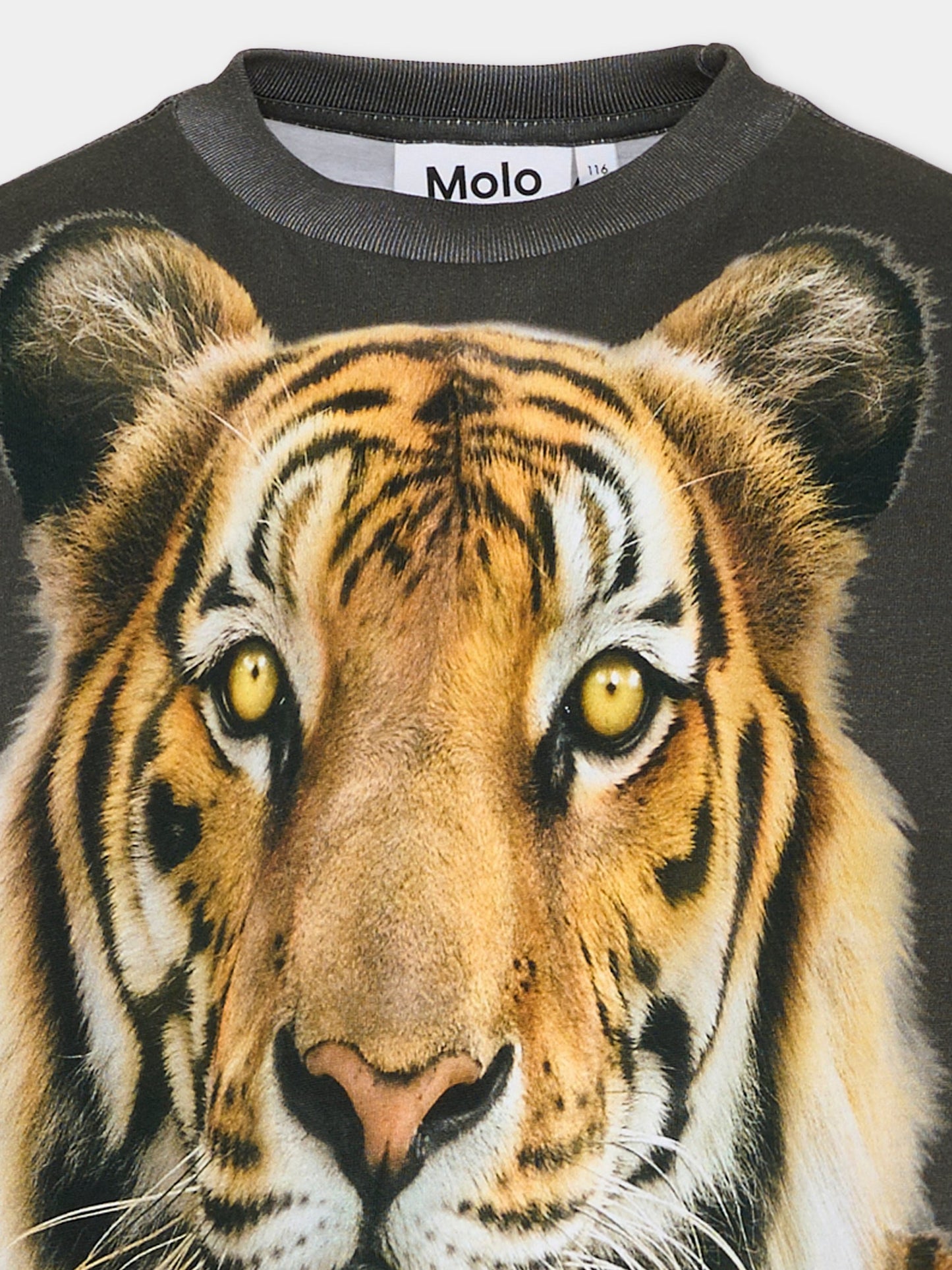 T-shirt Rube nera per bambino con tigre,Molo,1S26A405 9875