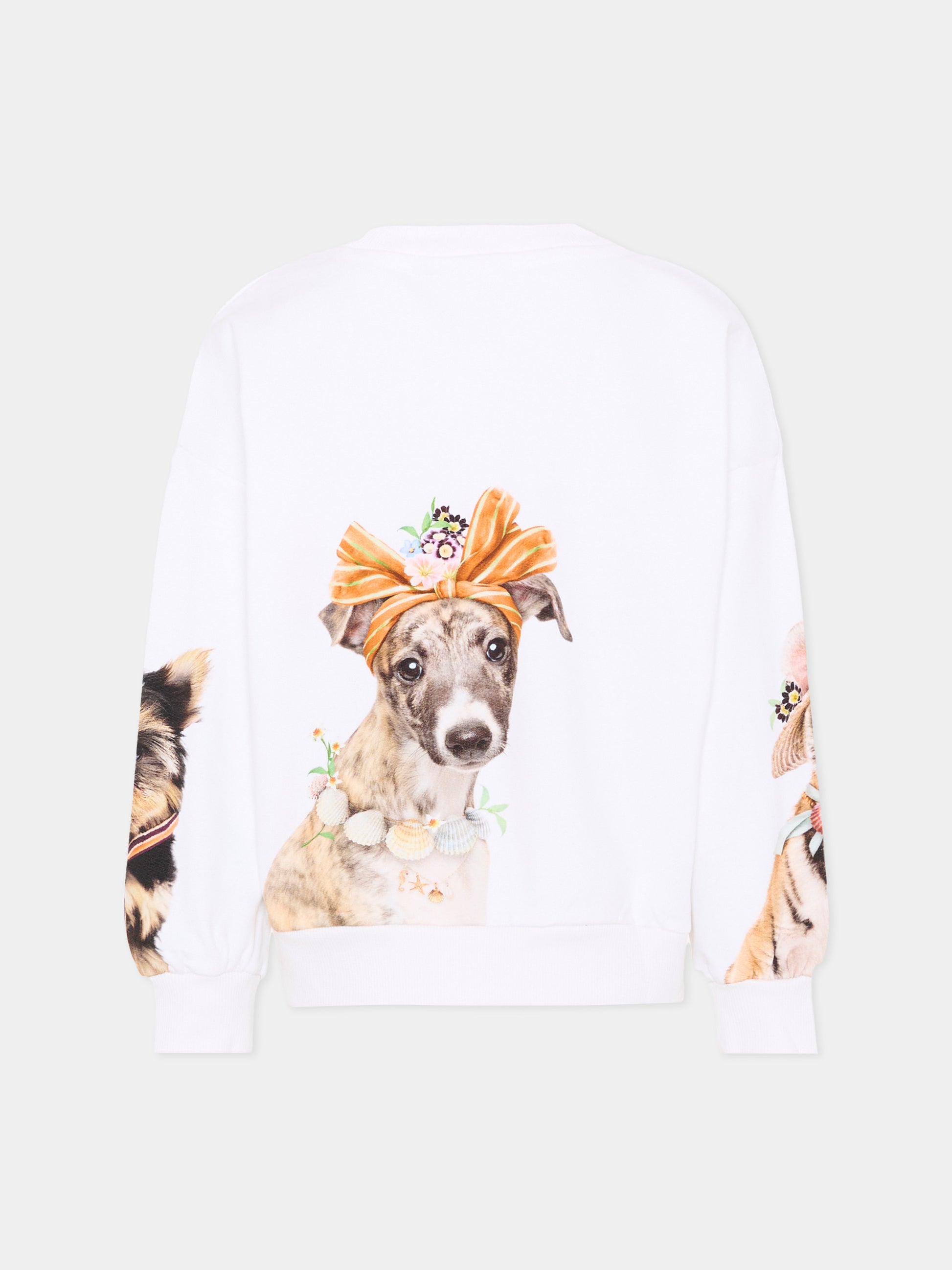 Felpa bianca Maxi per bambina con stampa animali,Molo,2S26J204 5698