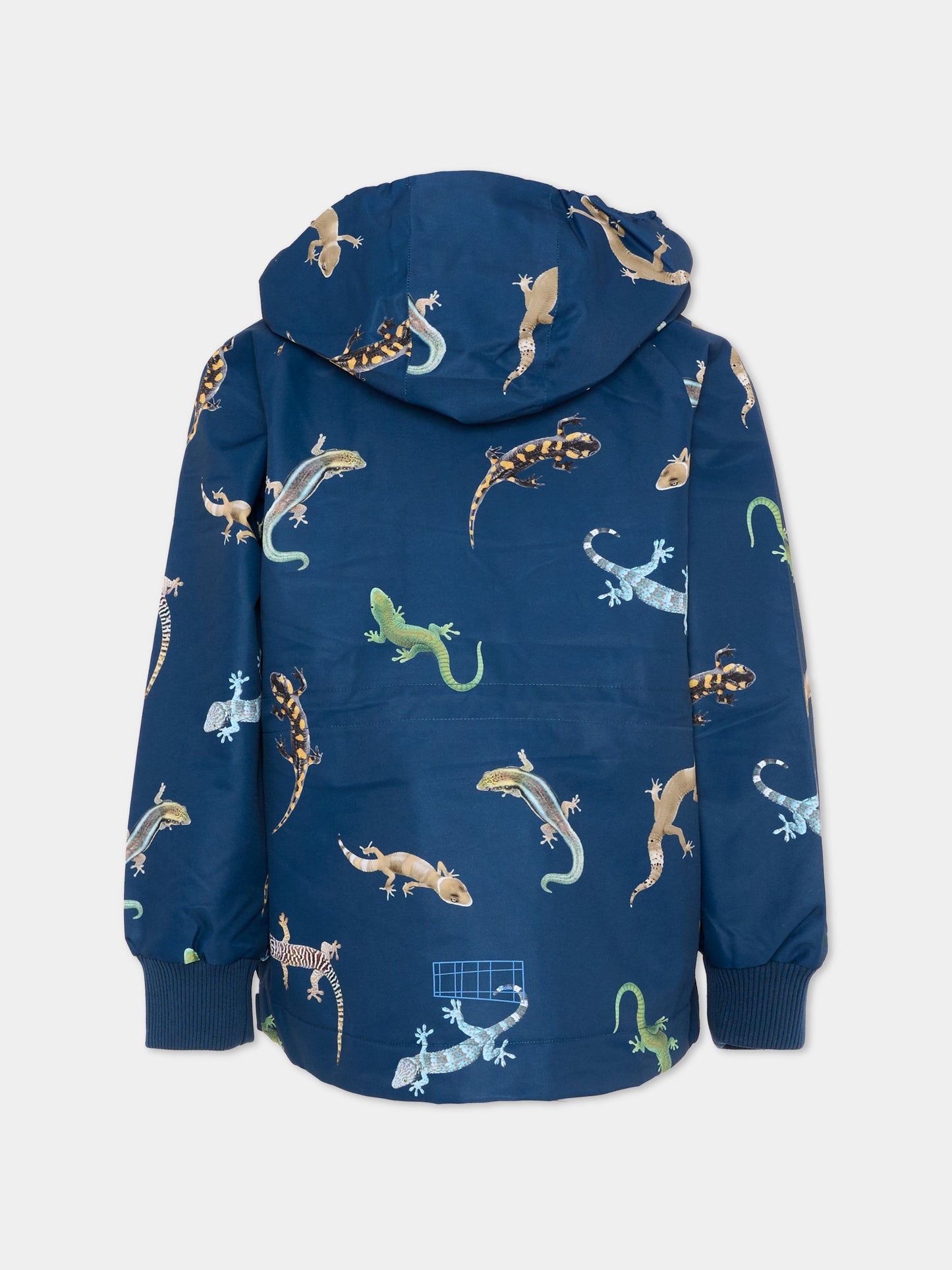 Giubbotto blu Hoplas per bambino con stampa lucertole,Molo,5S26M316 9483