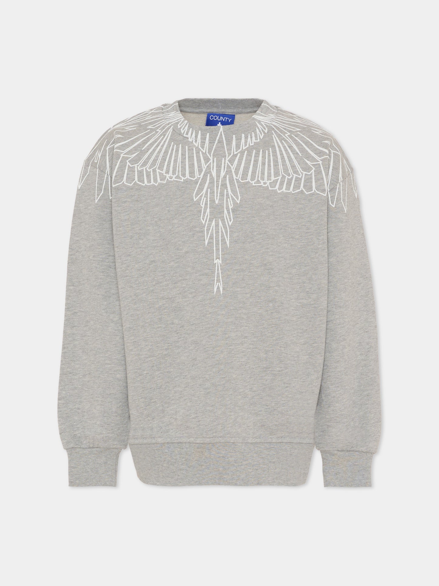 Felpa grigia per bambino con ali,County Of Milan Kids,F5CMJBSW071 101