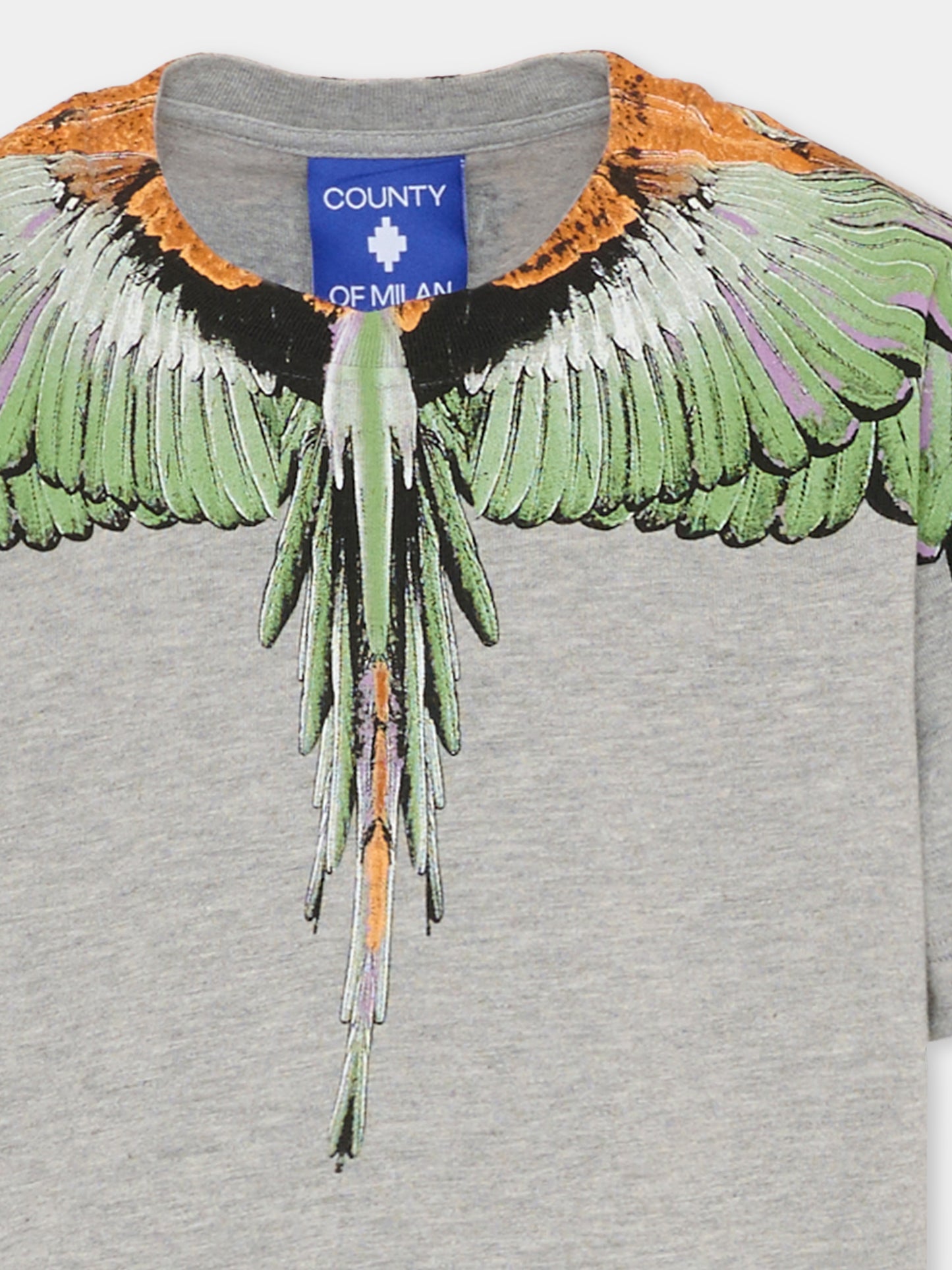 T-shirt gris pour garçon avec ailes