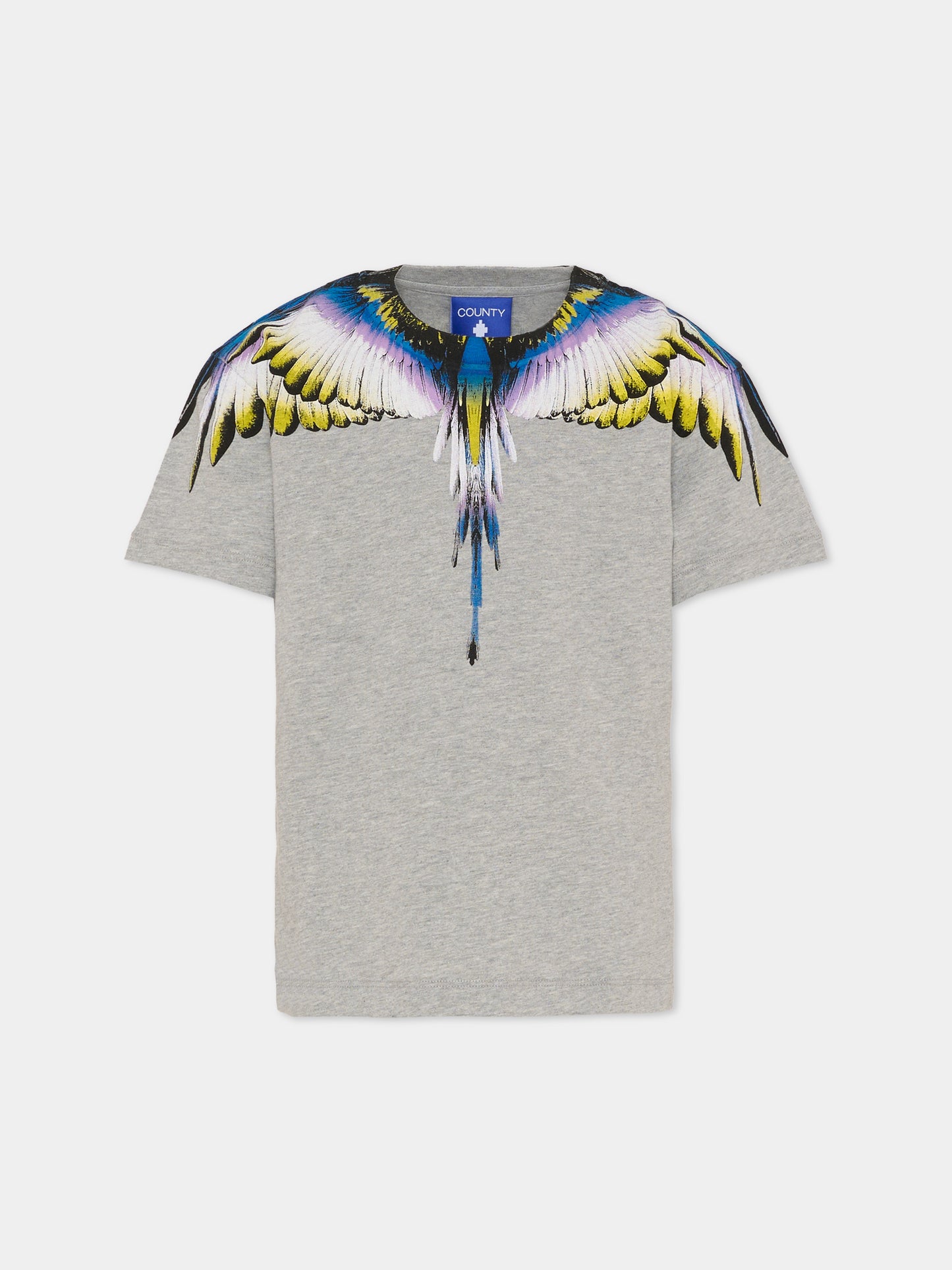T-shirt grigia per bambino con ali,County Of Milan Kids,F5CMJBTH064 101