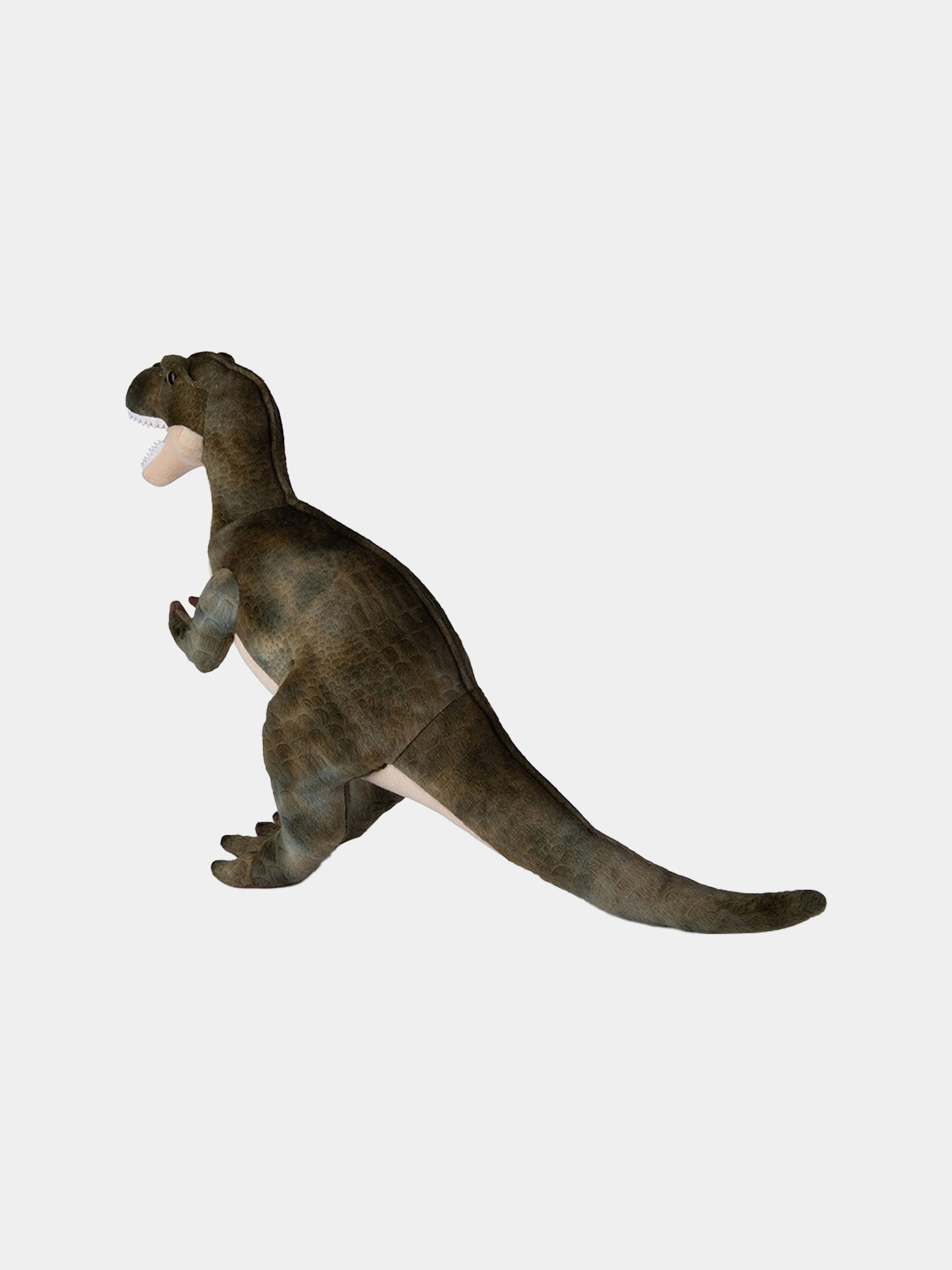 WWF T-Rex verde per bambini,Bon Ton Toys,15200015 WWF T-REX