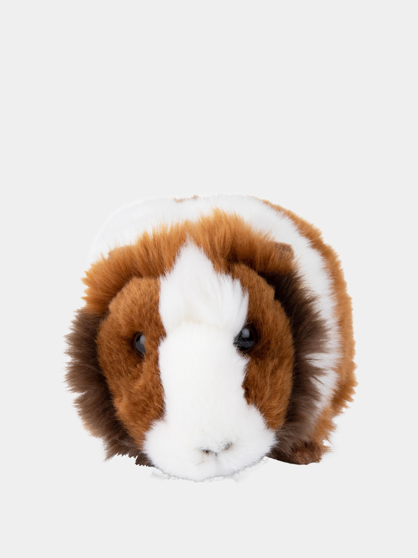 WWF Porcellino d'India marrone per bambini,Bon Ton Toys,15201008 WWF GUINEA PIG