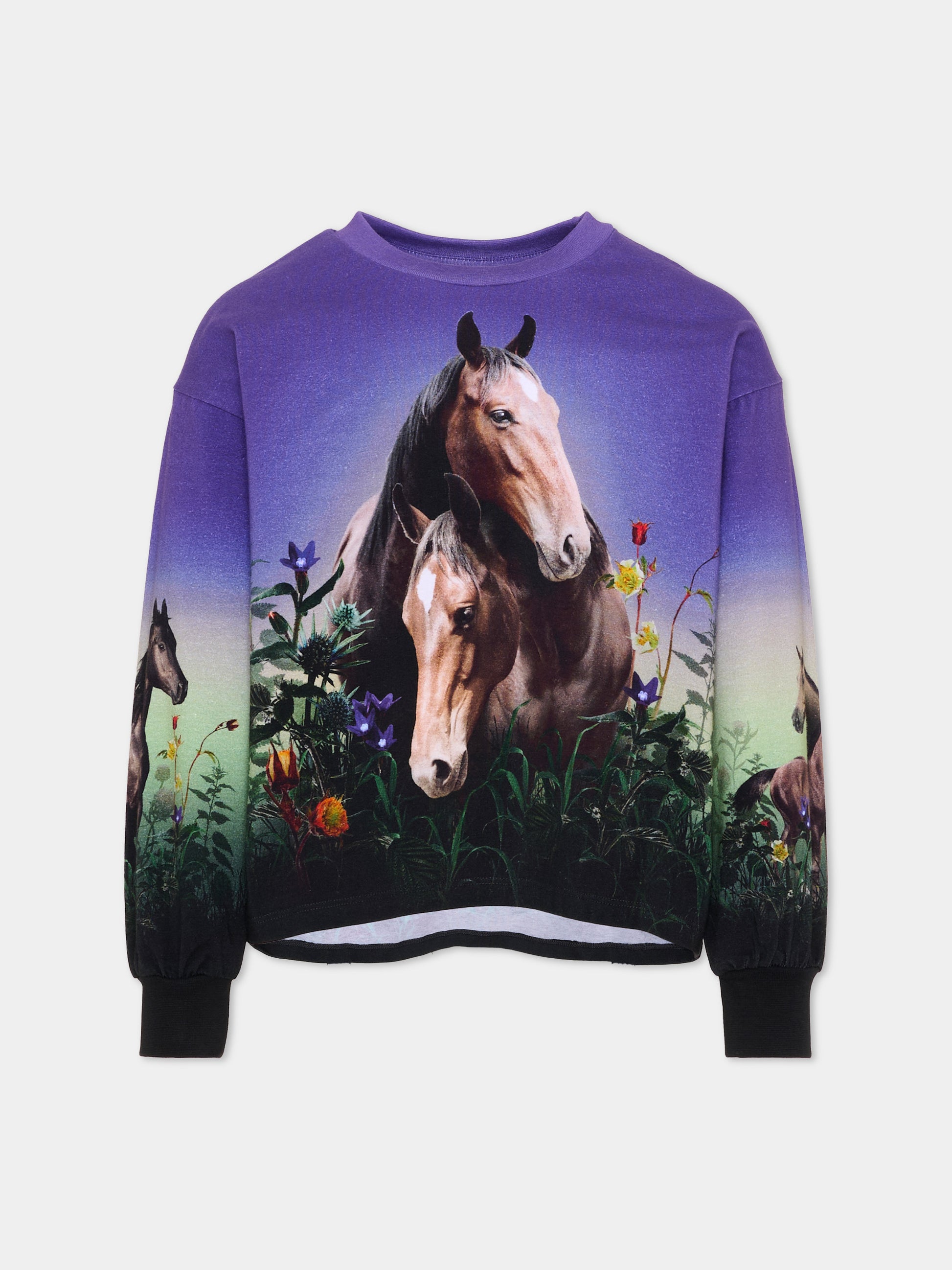 T-shirt viola Reniza per bambina con cavalli,Molo,2W26A407 5771