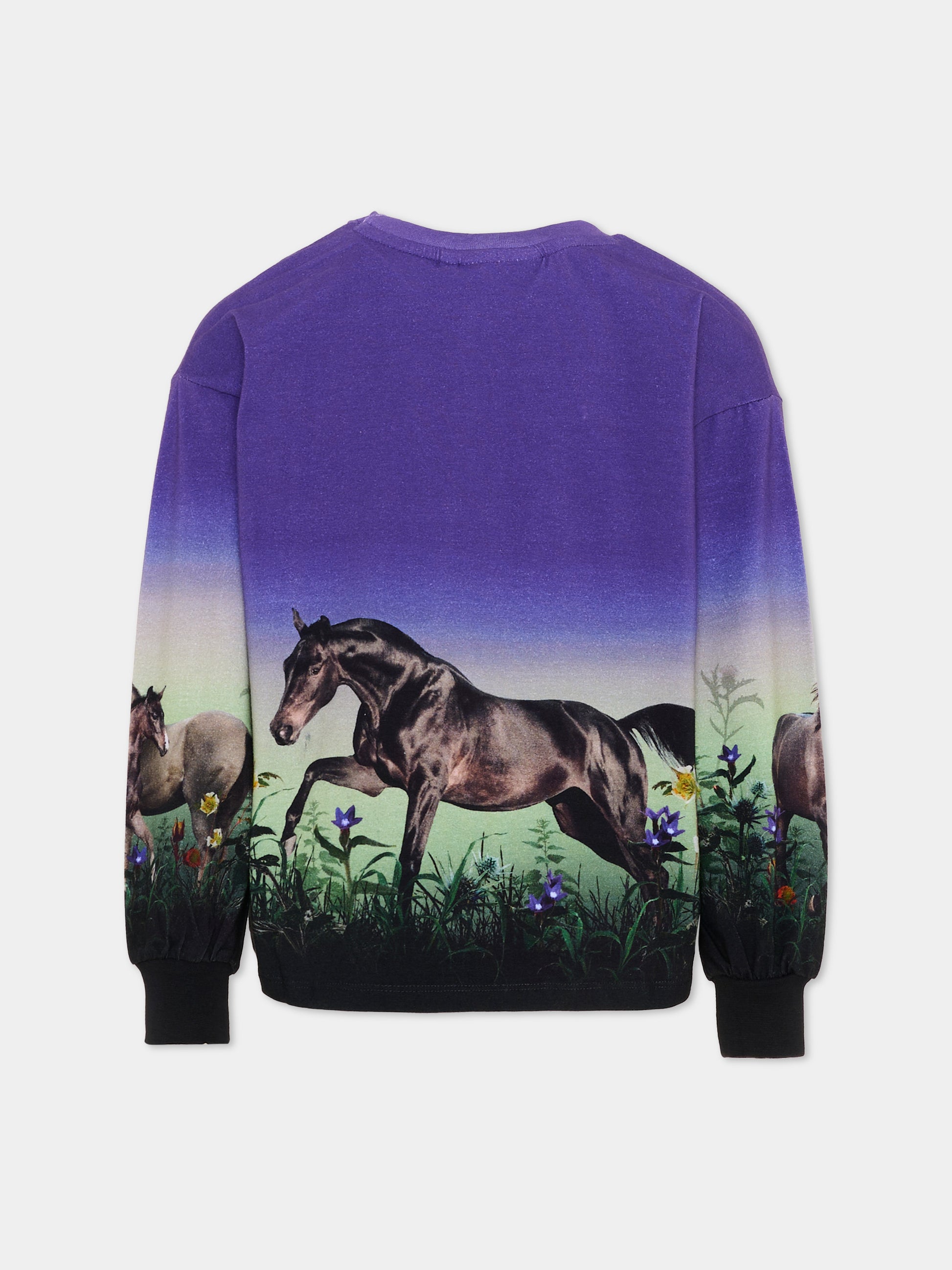 T-shirt viola Reniza per bambina con cavalli,Molo,2W26A407 5771