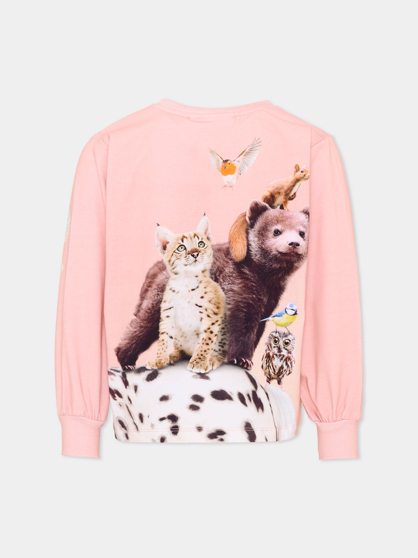 T-shirt a manica lunga rosa Raffy per bambina con stampa animali,Molo,2W26A411 5751