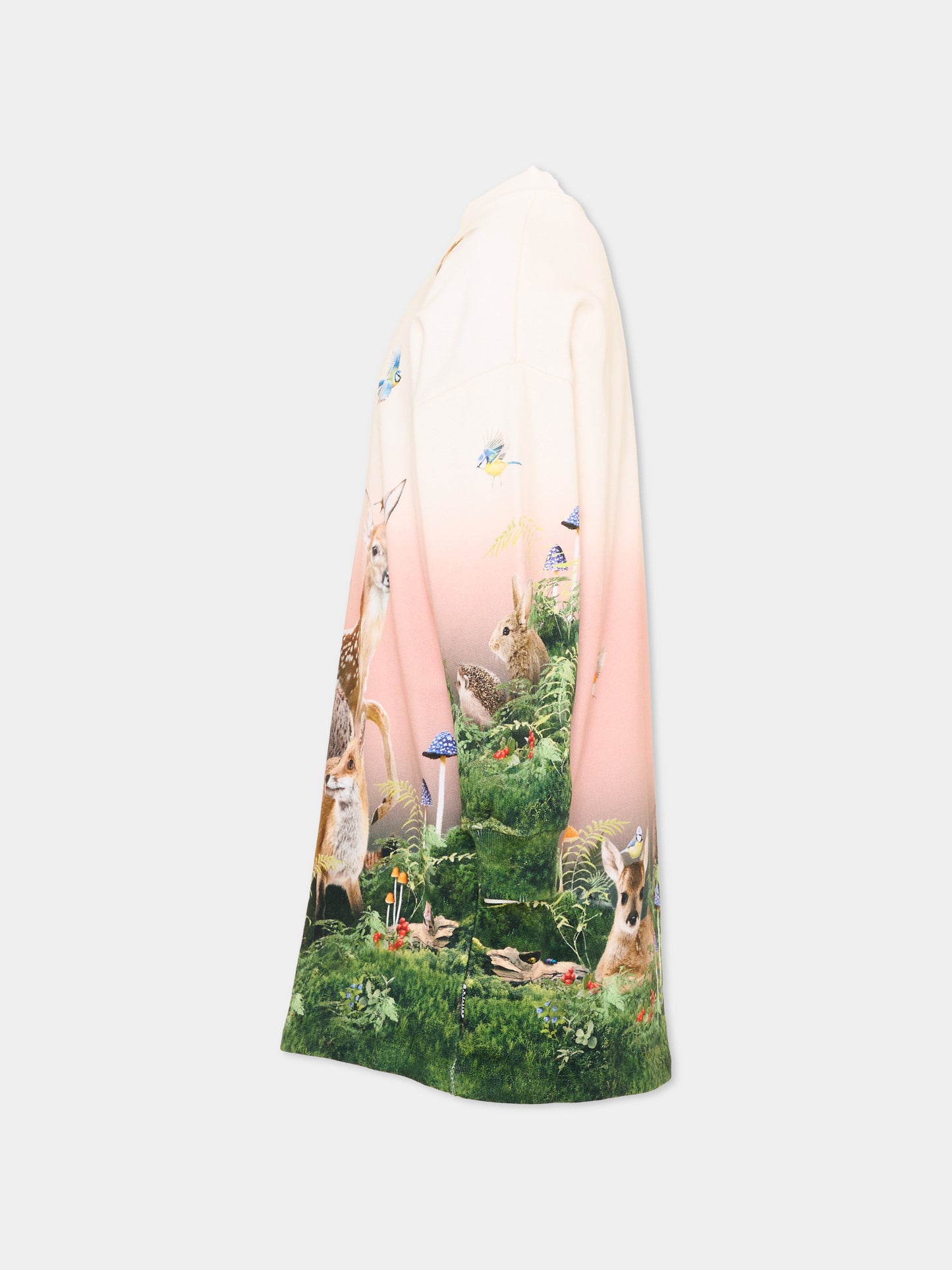 Vestito multicolor Cyrella per bambina con stampa animali,Molo,2W26E236 5791