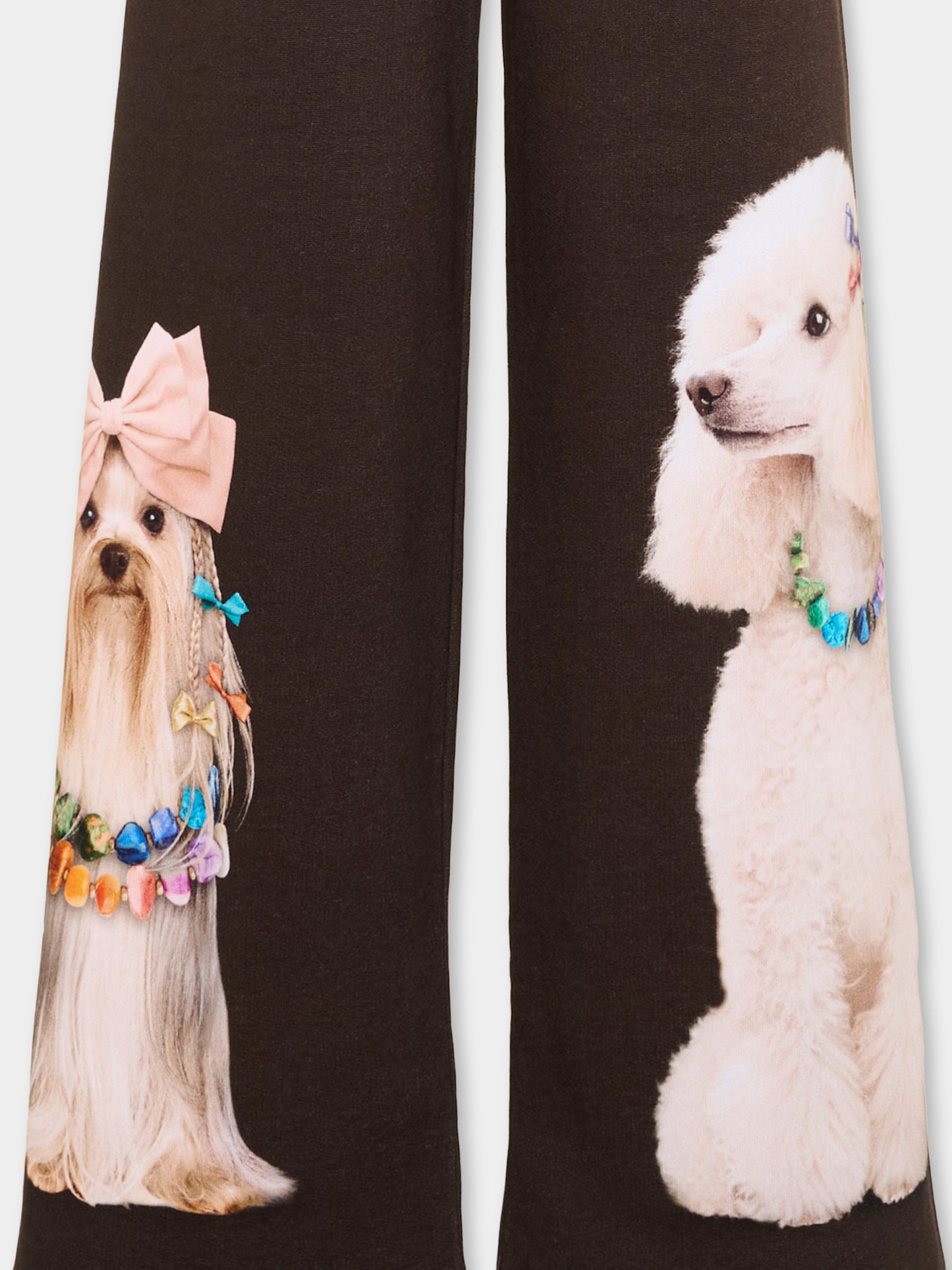 Pantaloni marroni Aurita per bambina con animali,Molo,2W26I210 5758