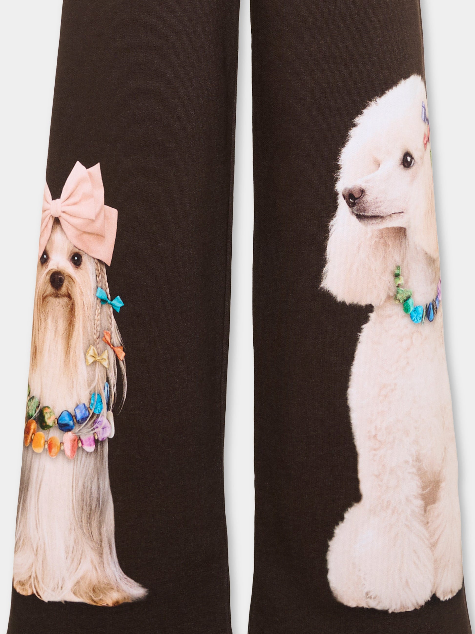 Pantaloni marroni Aurita per bambina con animali,Molo,2W26I210 5758