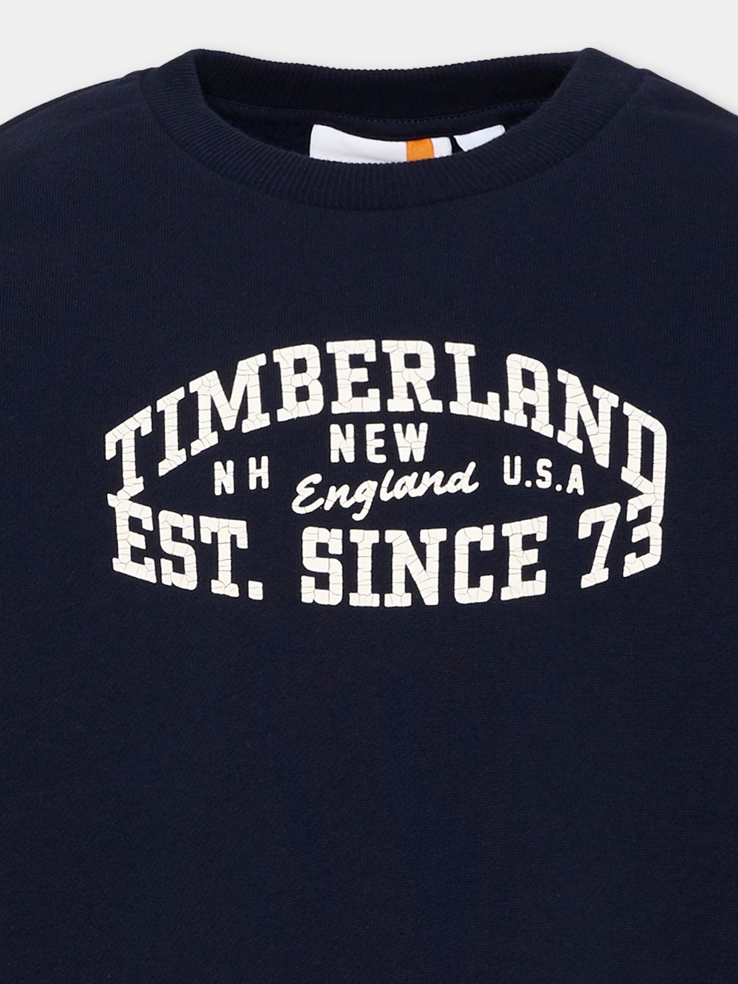 Felpa blu per bambino con stampa,Timberland,T61063 849