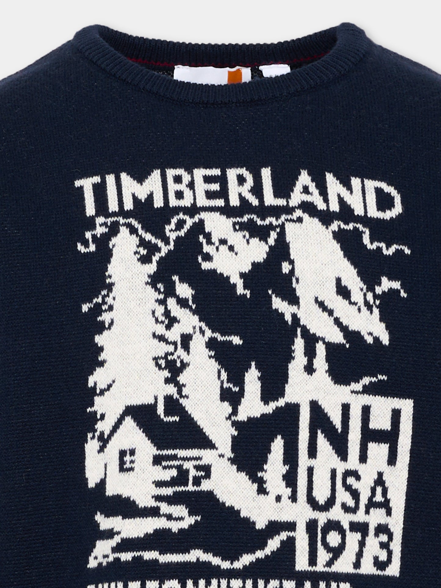 Maglione blu per bambino jacquard,Timberland,T61084 849