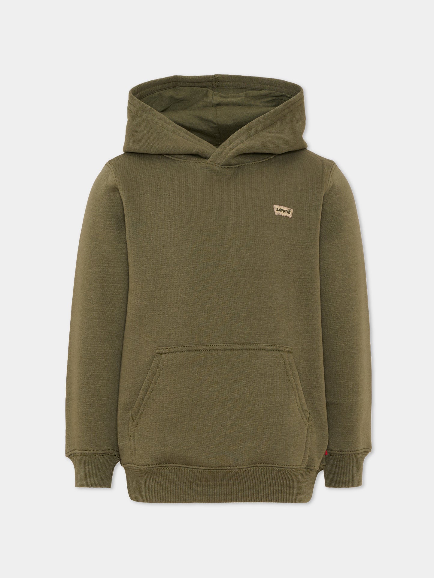 Felpa con cappuccio verde oliva per bambino,Levi's Kids,9EL452 E3V