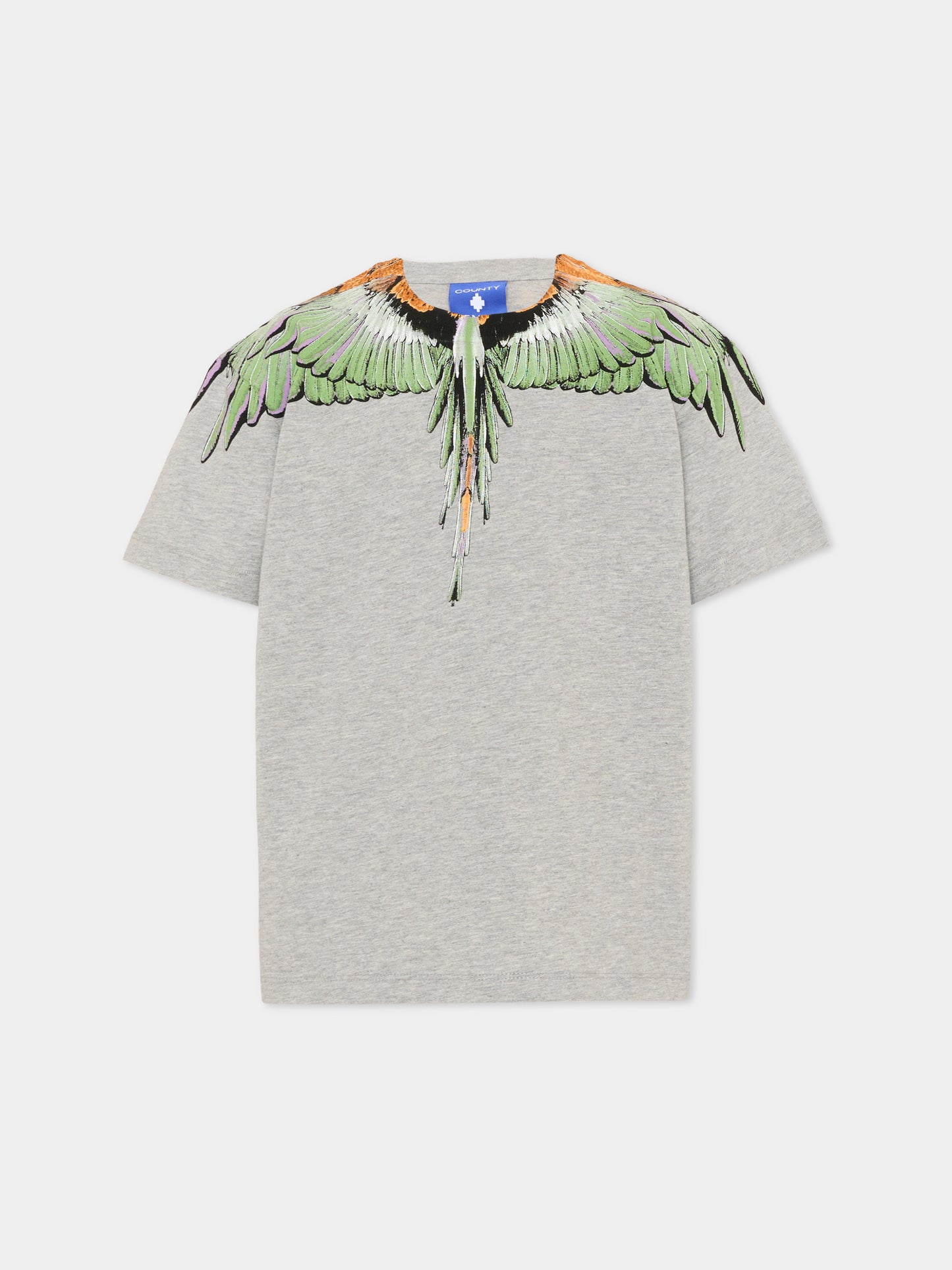 T-Shirt grigia per bambino con ali,County Of Milan Kids,F5CMJBTH063 101