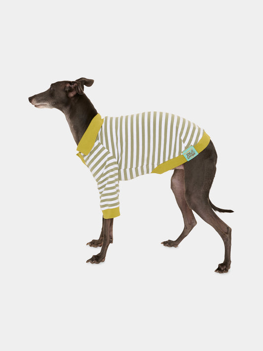 Tutina Ettore verde per cani,Zigzagoo,ETTORE GREEN