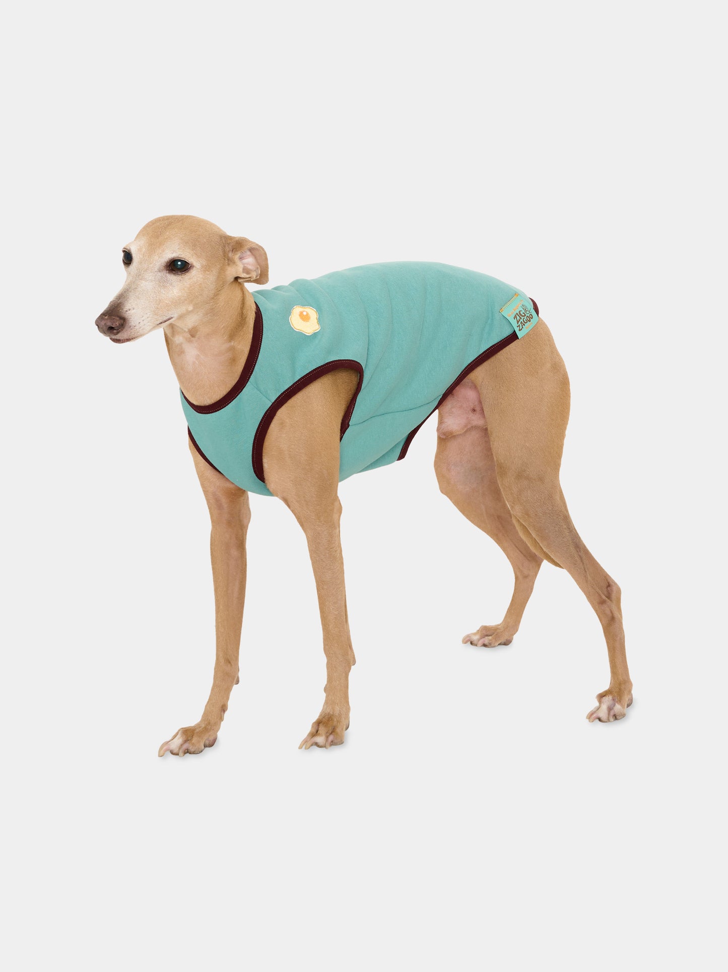 Tutina Ludovica verde per cani con patch