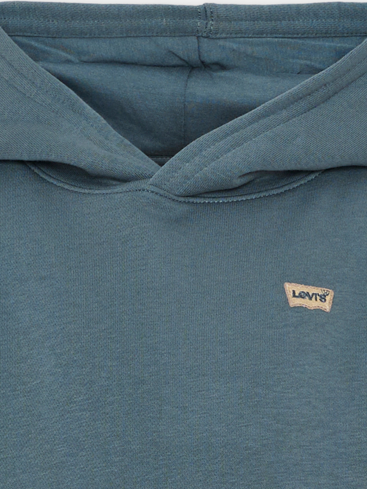 Felpa con cappuccio verde per bambino,Levi's Kids,9EL452 C6W