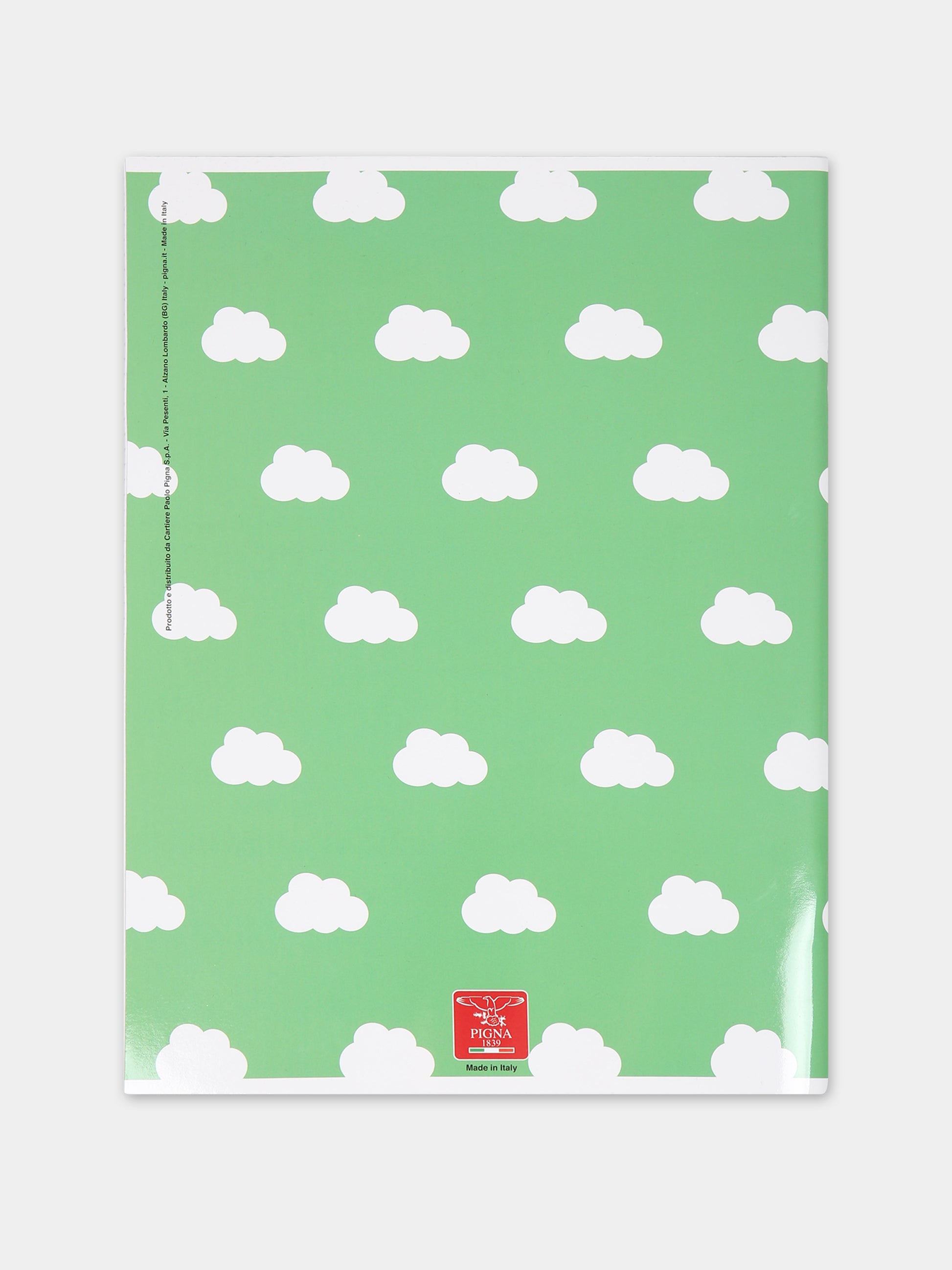 Quaderni Pigna x Cocccolebimbi celeste e giallo,Pigna X Coccolebimbi,ROSA E VERDE