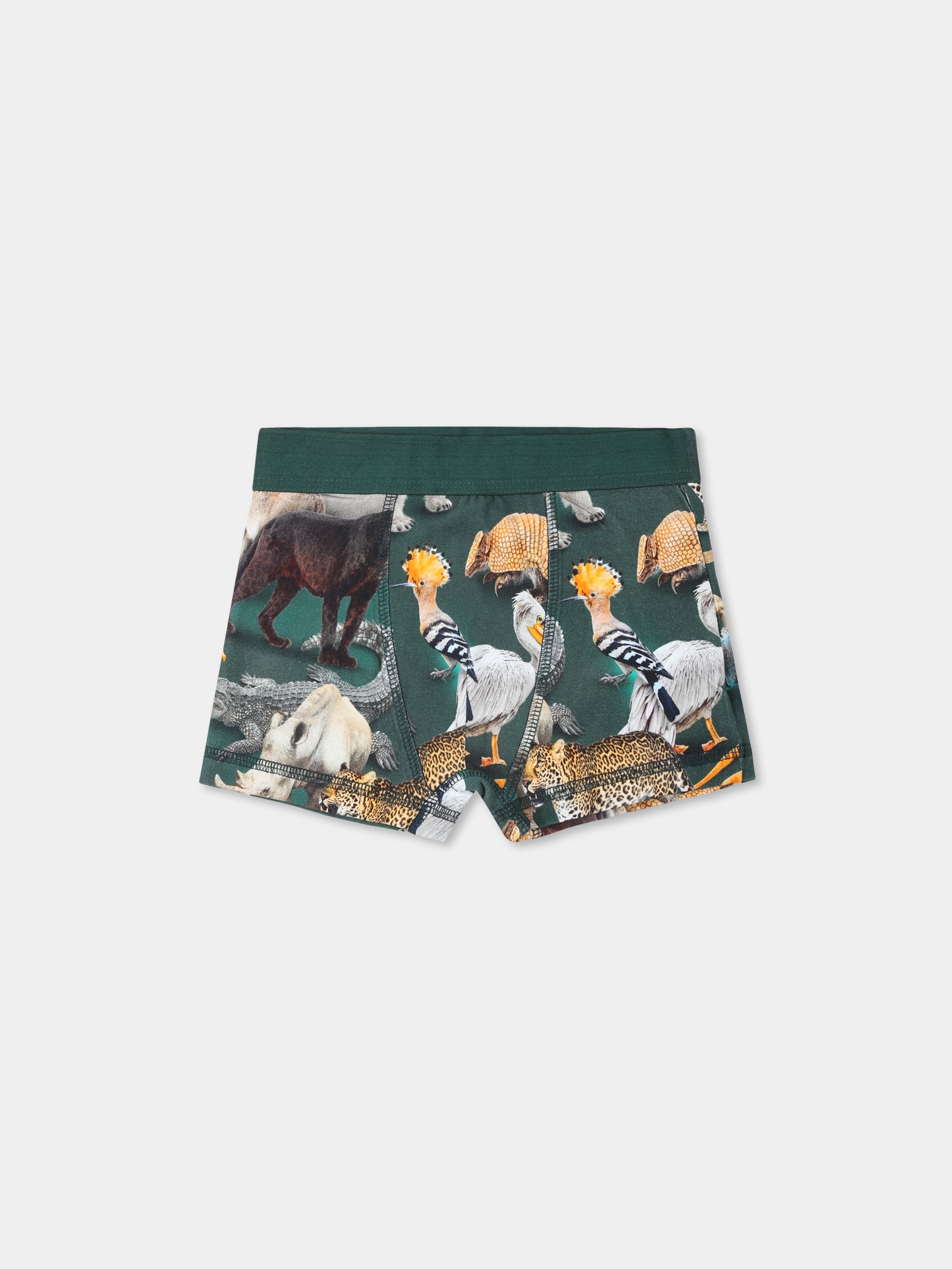 Set boxer verde per bambino con stampa animali,Molo,1W24Q201 9217