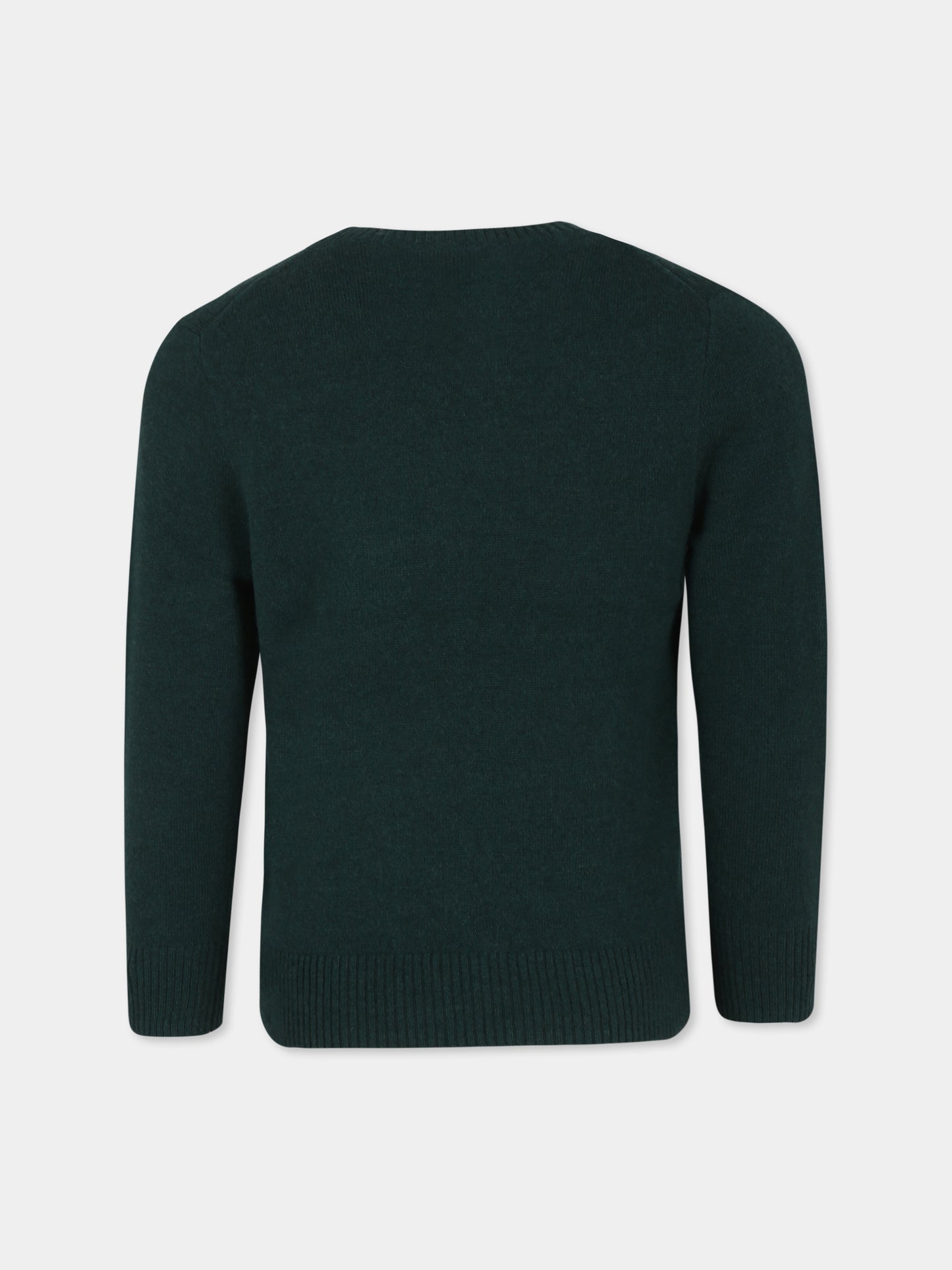 Maglione verde per bambino con cavallino,Ralph Lauren Kids,951349003