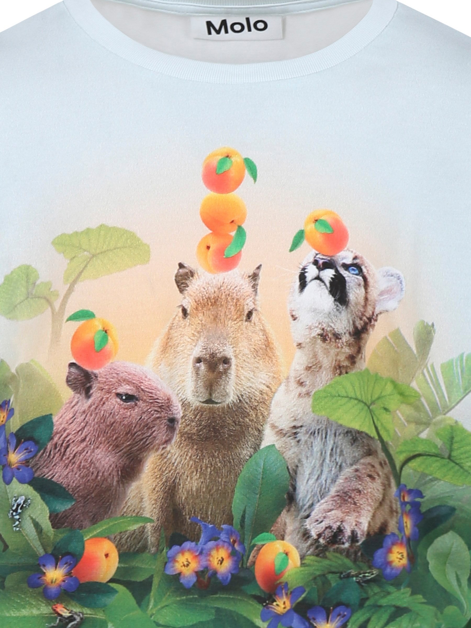 T-shirt Raeesa celeste per bambina con animali e frutta,Molo,2S25A211 3930