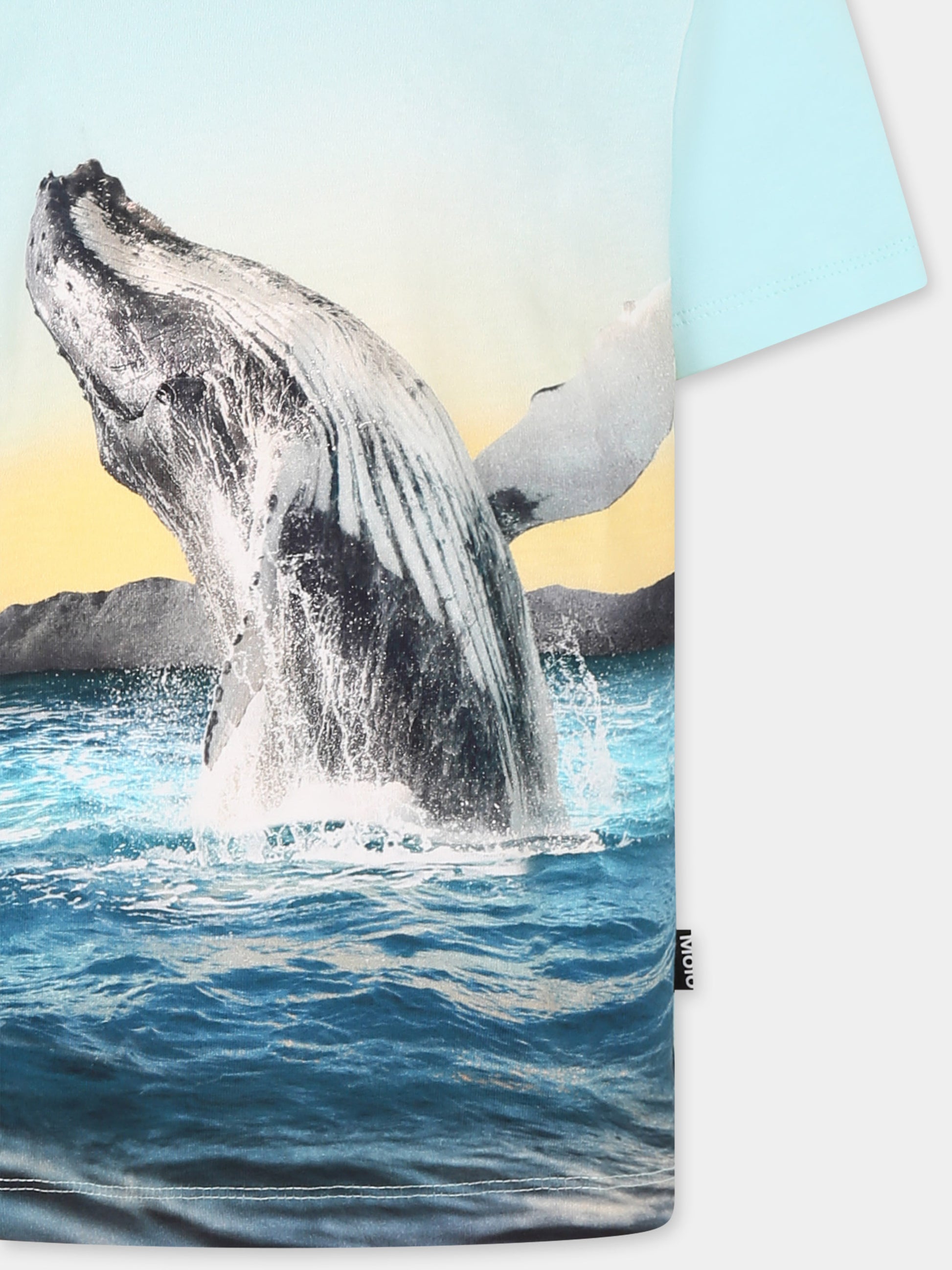 T-shirt Rame celeste per bambino con balena,Molo,1S25A212 3870