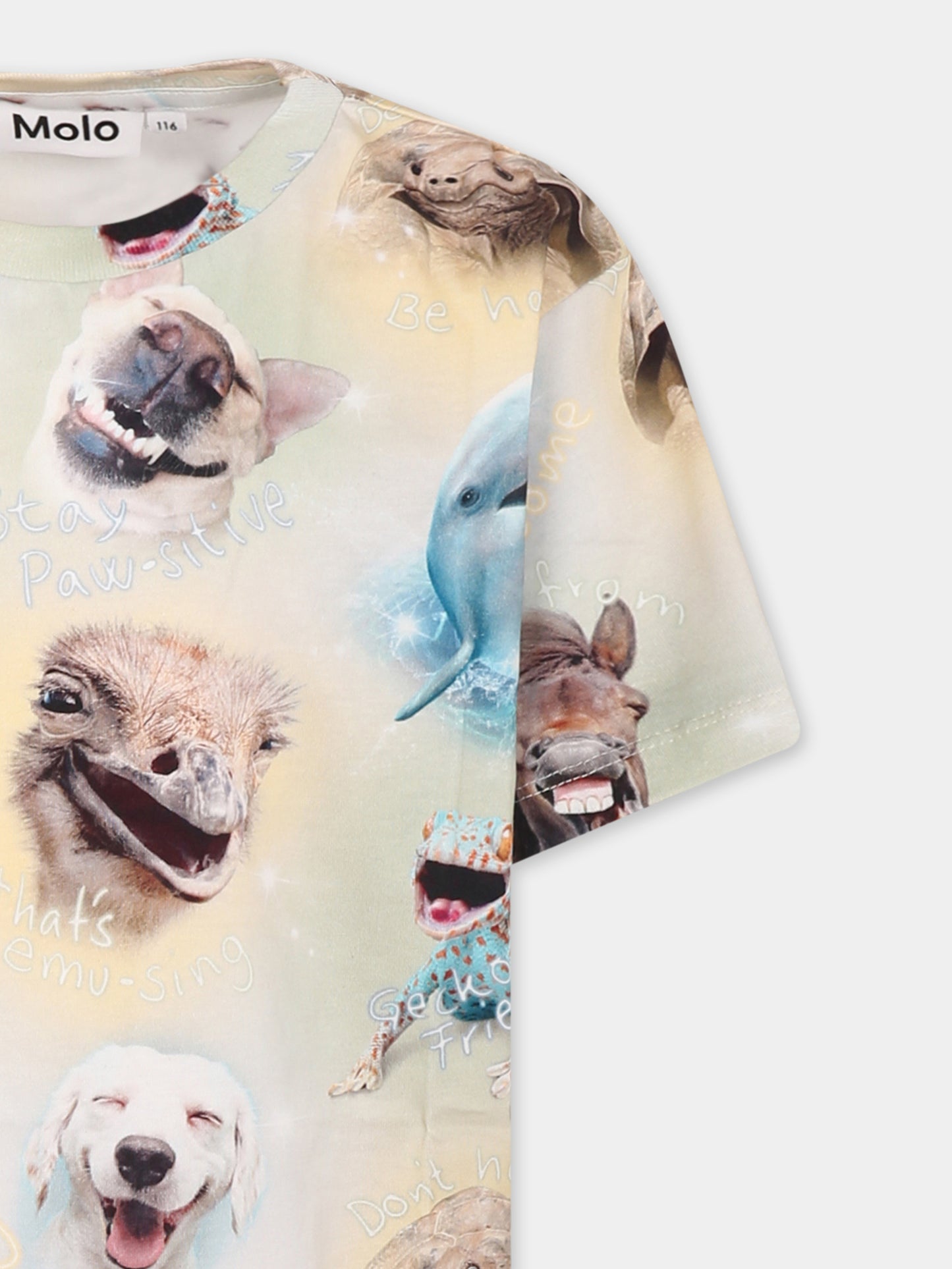 T-shirt multicolor per bambino con animali e frasi,Molo,1S25A215 9294