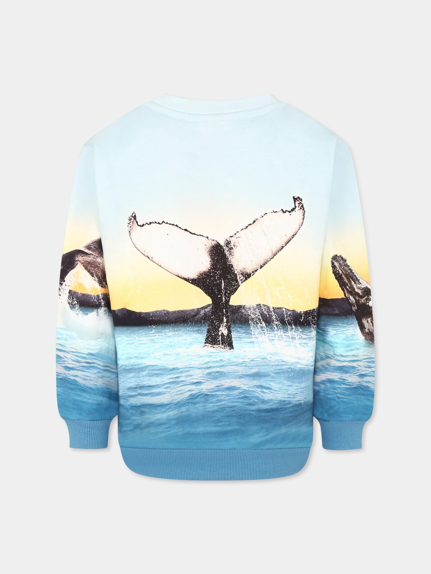 Felpa Miksi celeste per bambino con balena,Molo,1S25J205 3870