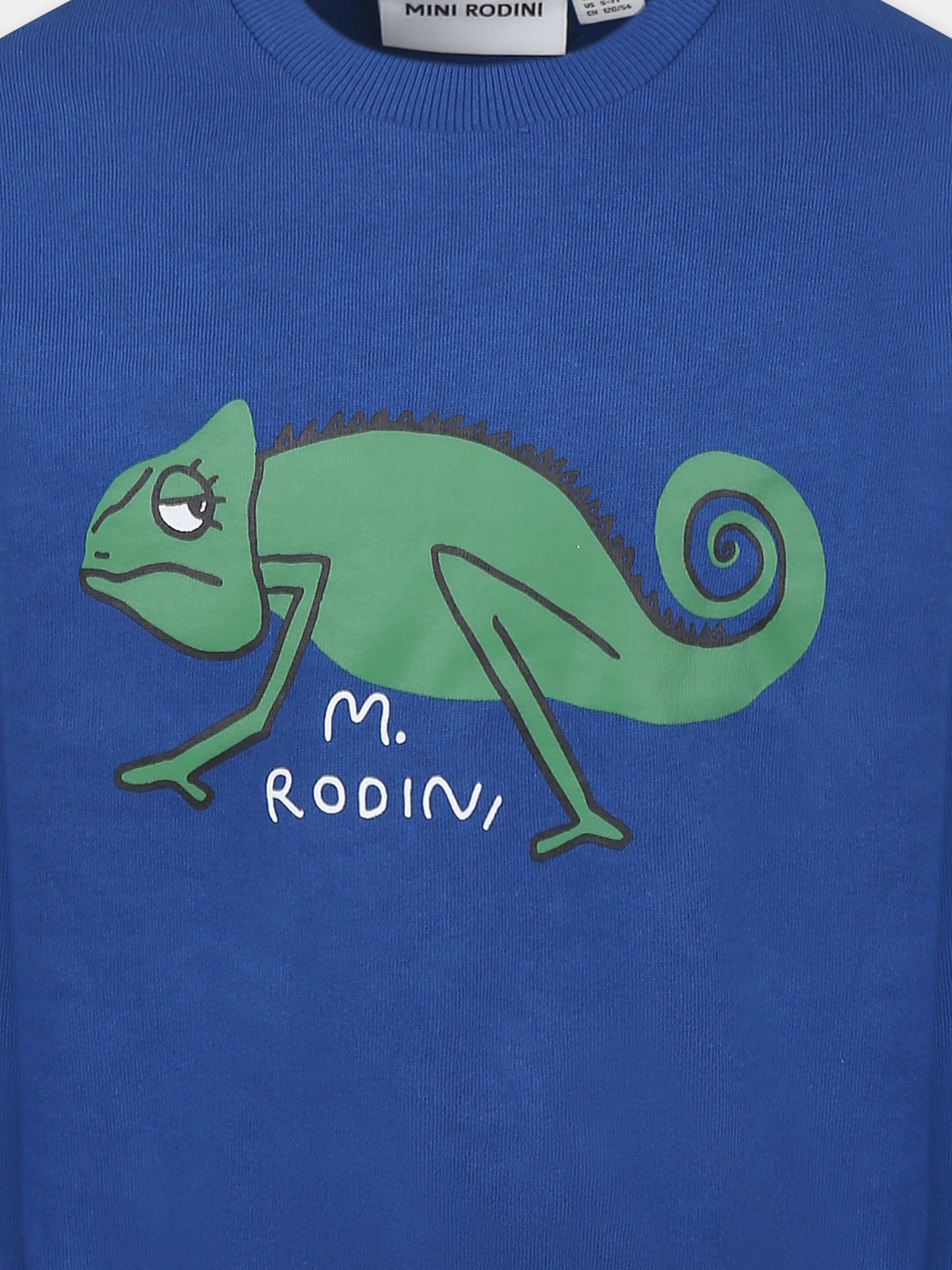 Felpa azzurra per bambino con camaleonte,Mini Rodini,2522016660