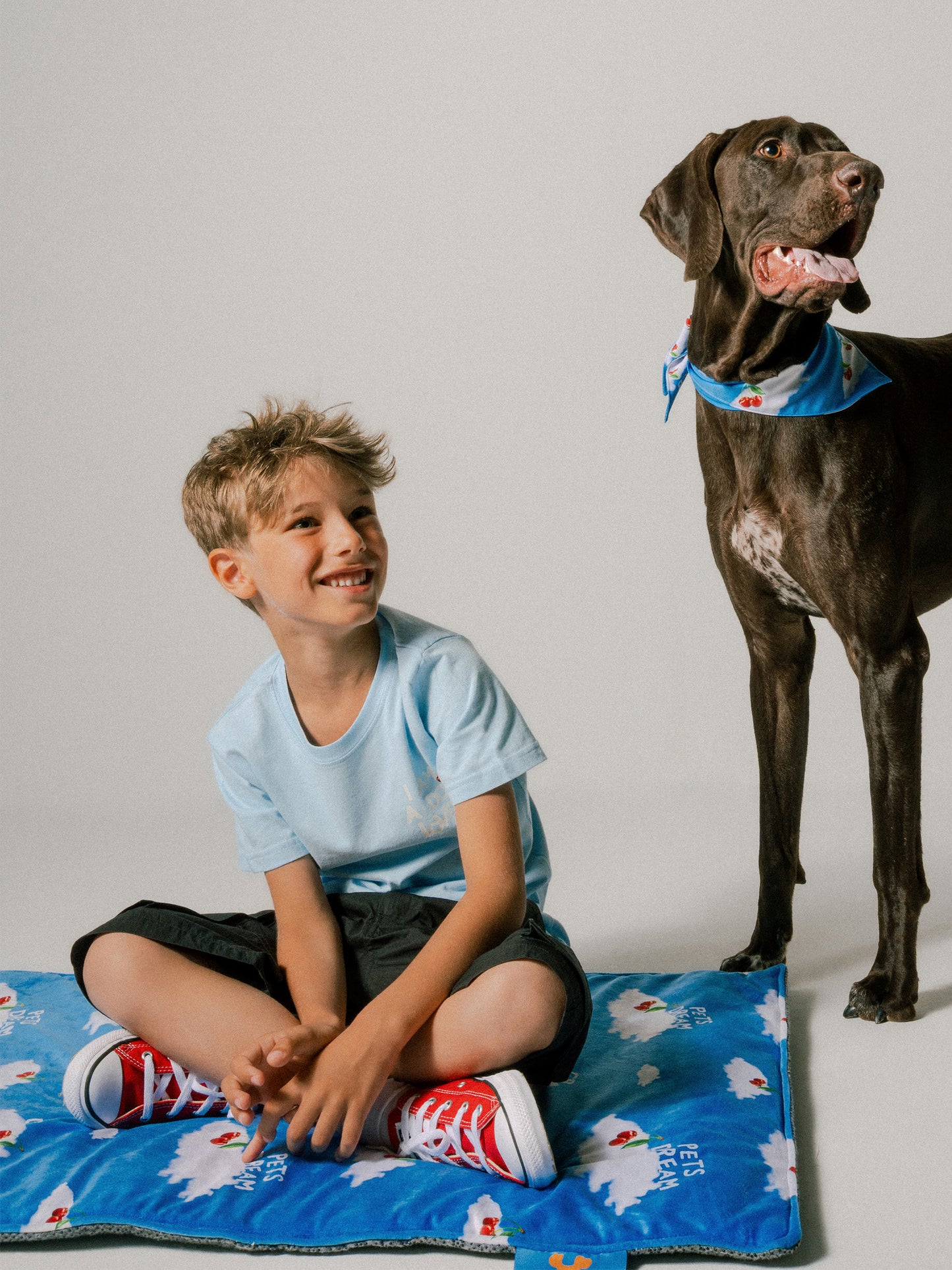 Tapis bleu clair pour chien