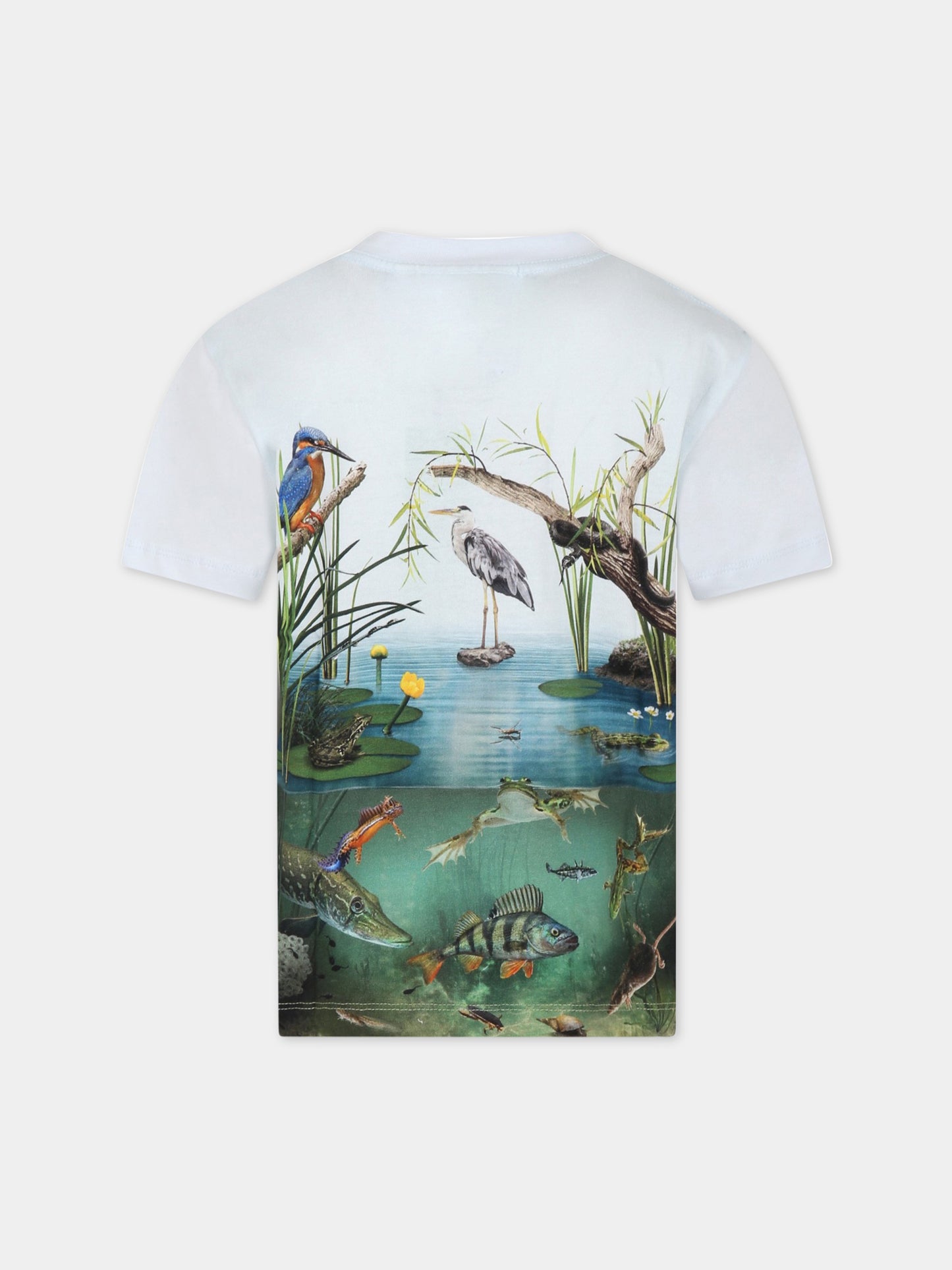 T-shirt multicolor per bambino con stagno,Molo,1S23A205 3231